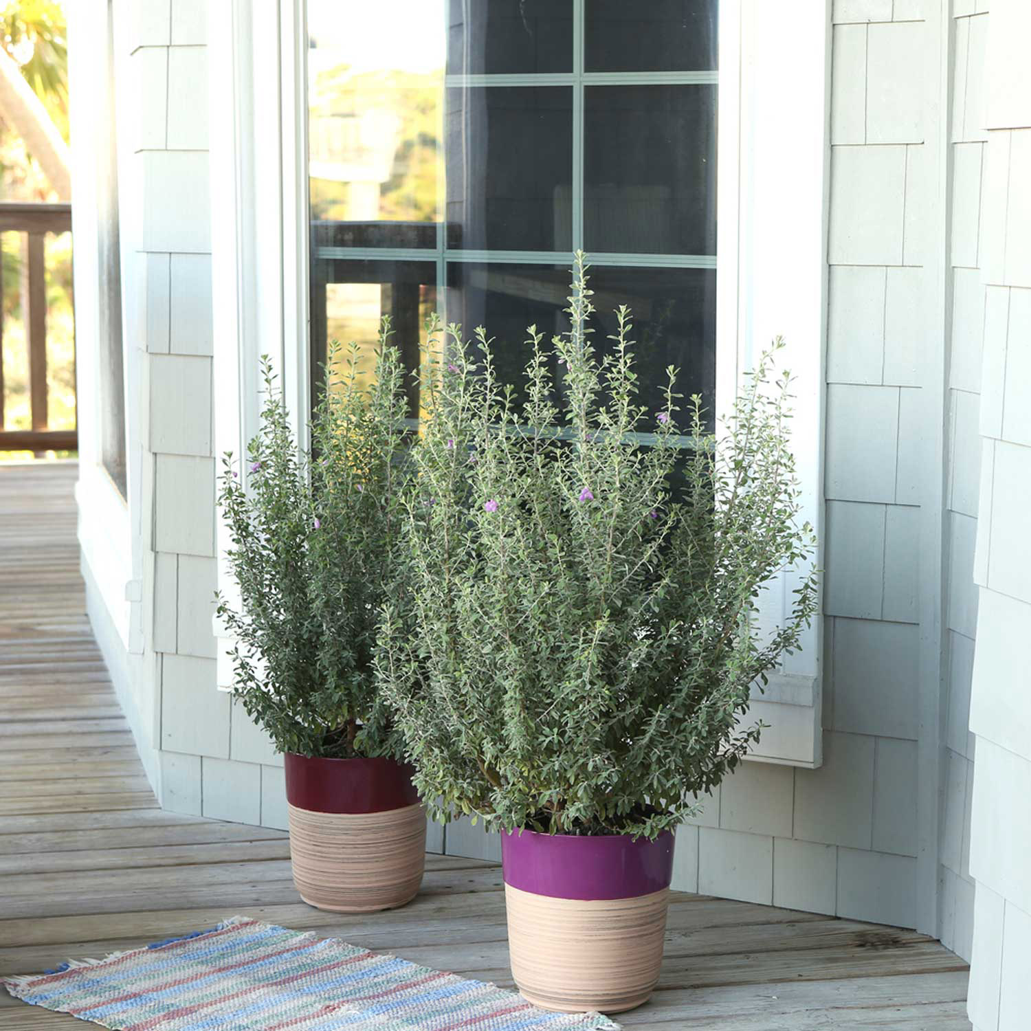 Enlarge Product Preview 2 Successfully Enriched by automation Job.