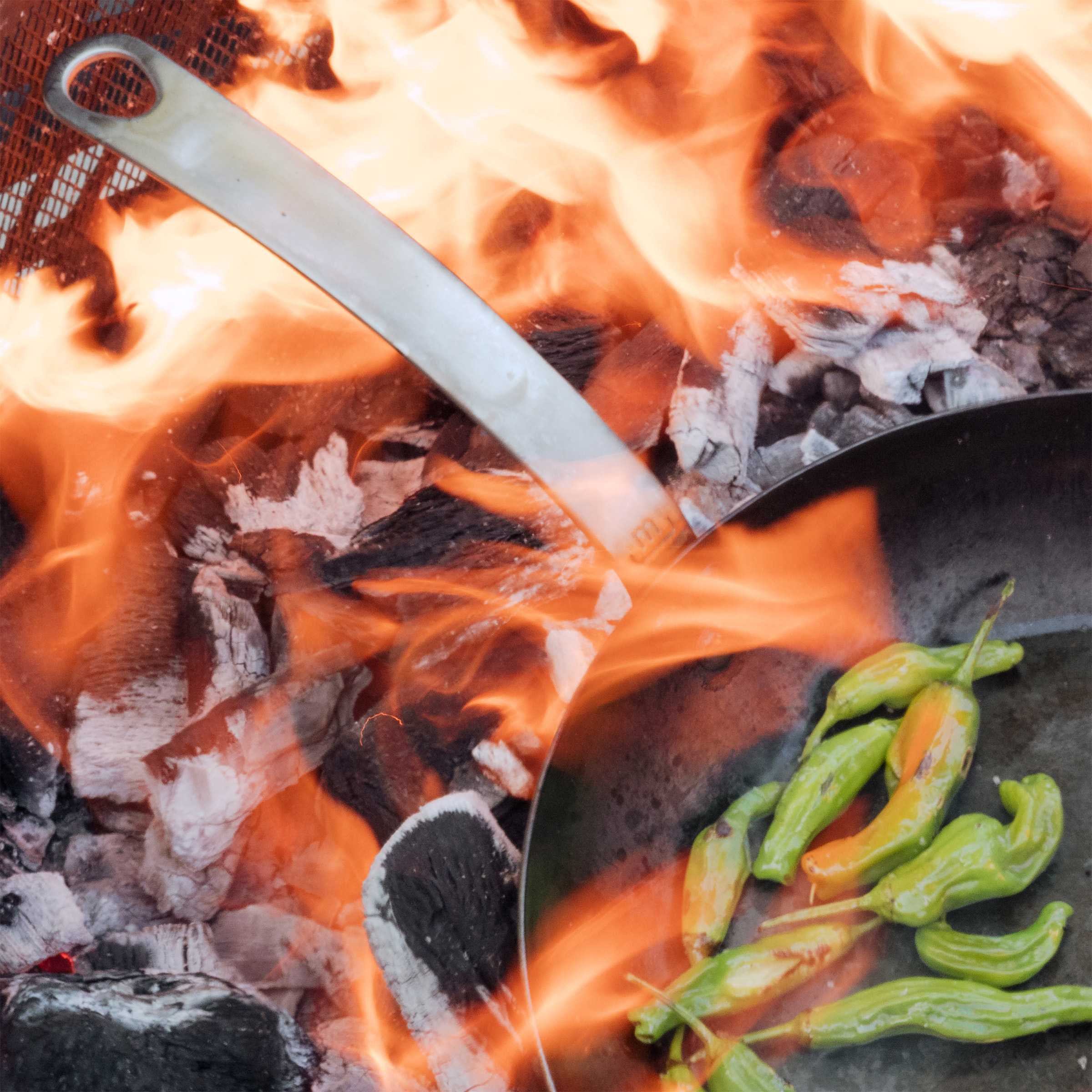 Enlarge Product Preview 4 Successfully Enriched by automation Job.