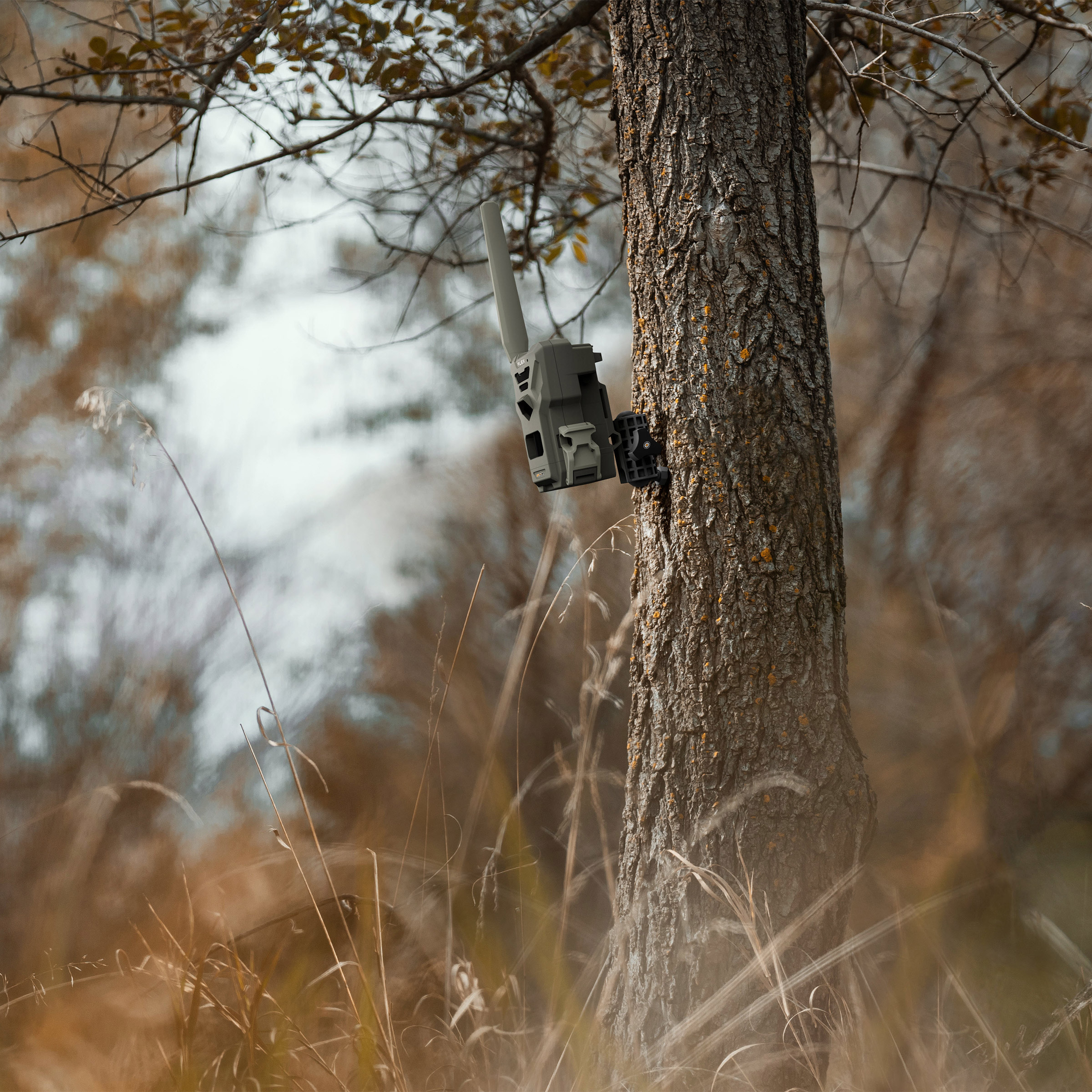 Enlarge Product Preview 7 Successfully Enriched by automation Job.