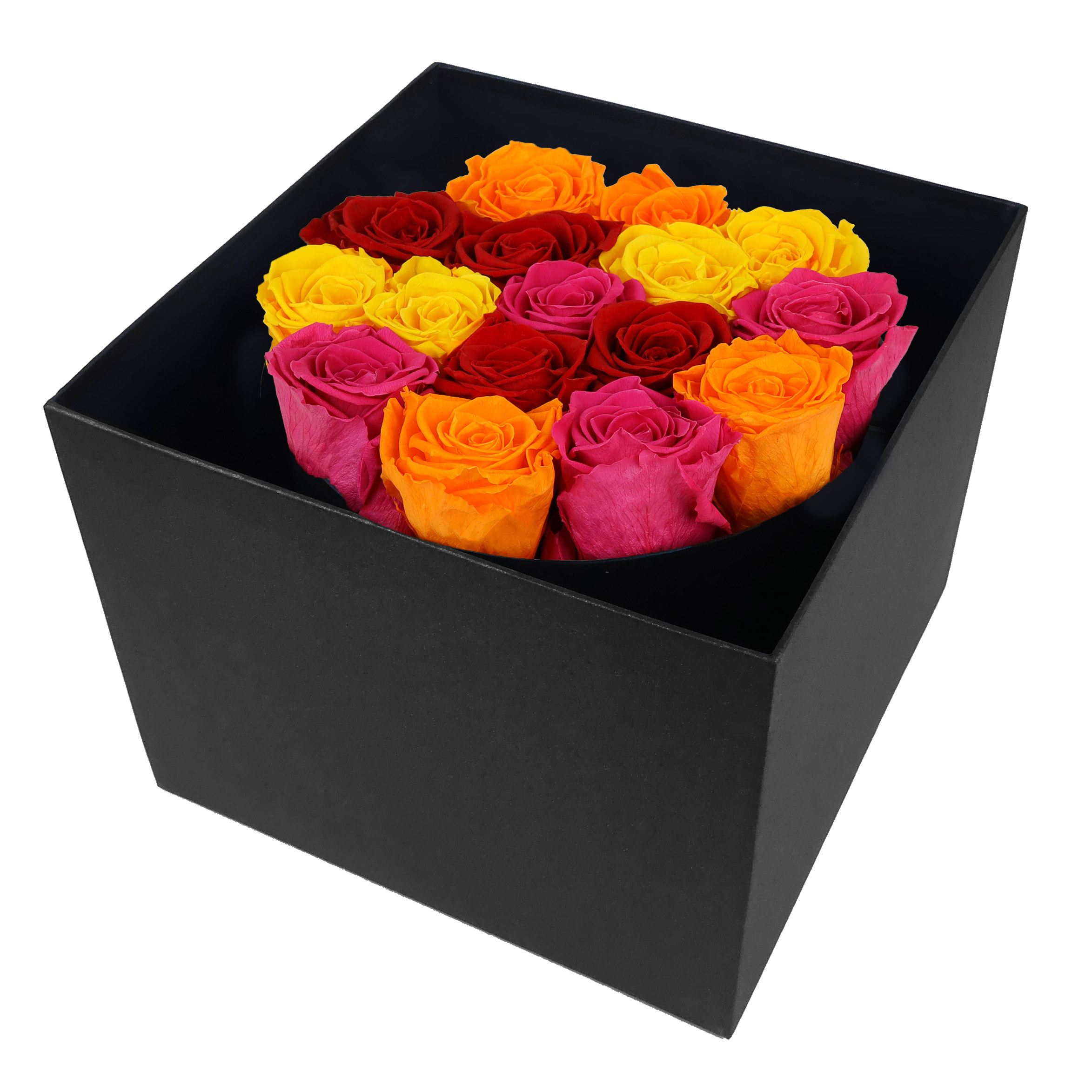 Enlarge Product Preview 2