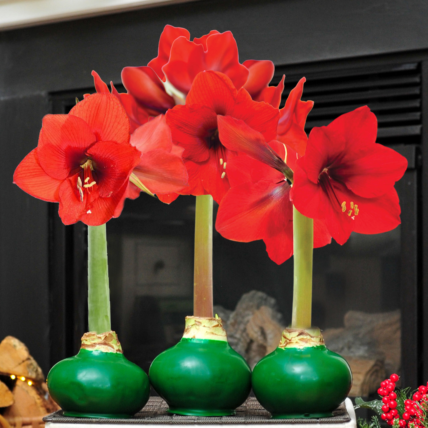 Enlarge Product Preview 7