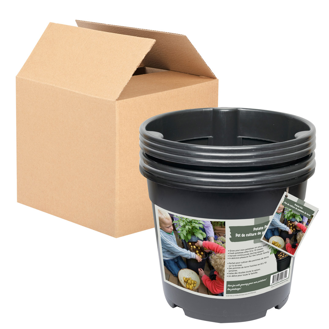 money tree planter Money Tree for Sale - Easy to Maintain House Plant - 1 Gallon main image 0