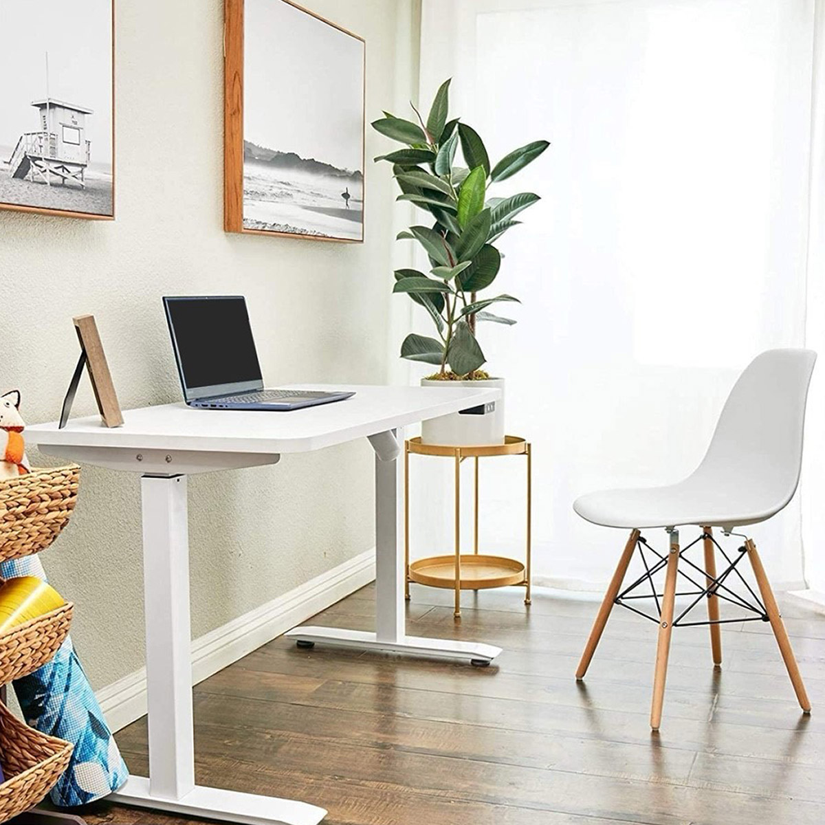 Motionwise 121.92 cm x 60.96 cm (48 in. x 24 in.) Single Motor Height Adjustable Desk