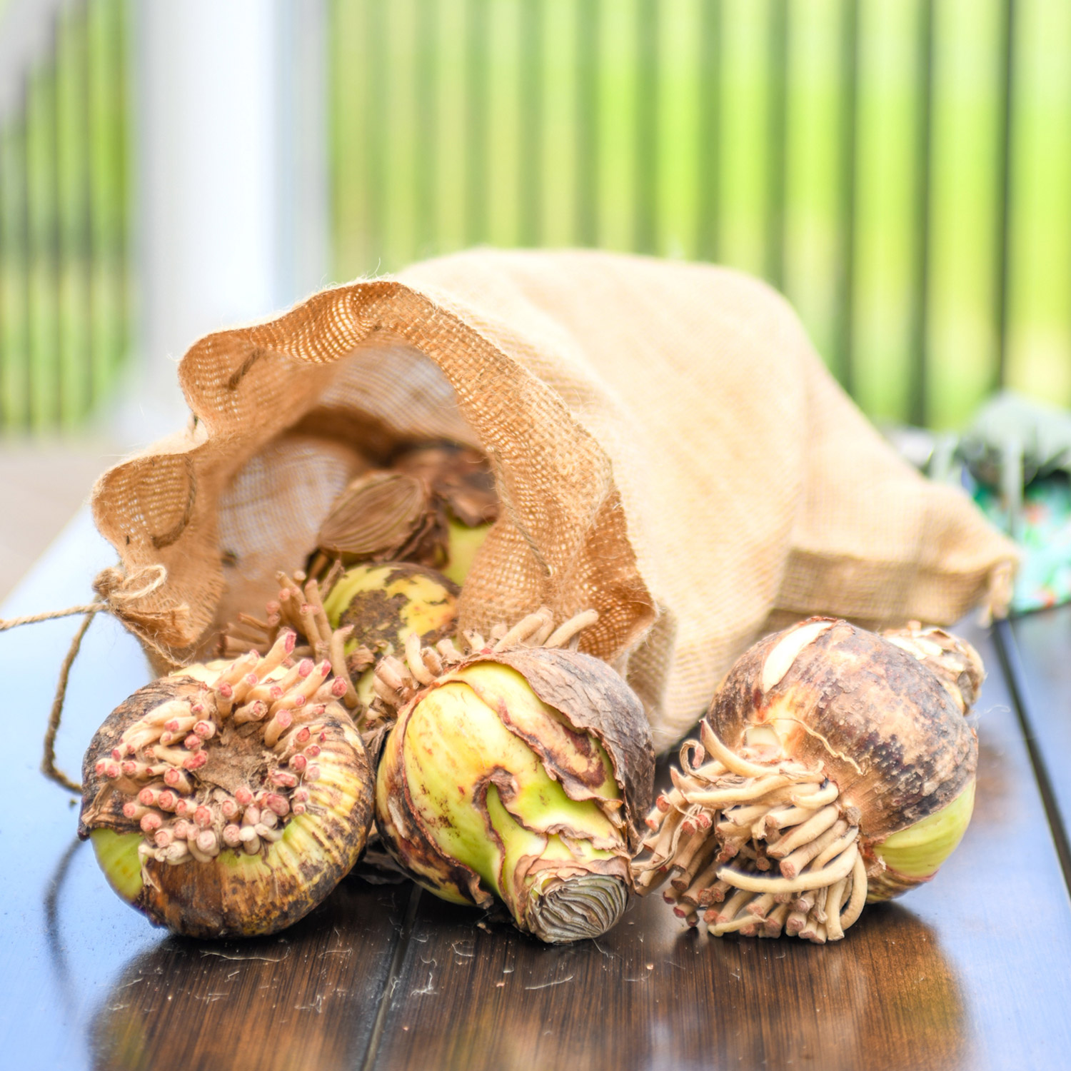 Enlarge Product Preview 3 Successfully Enriched by automation Job.