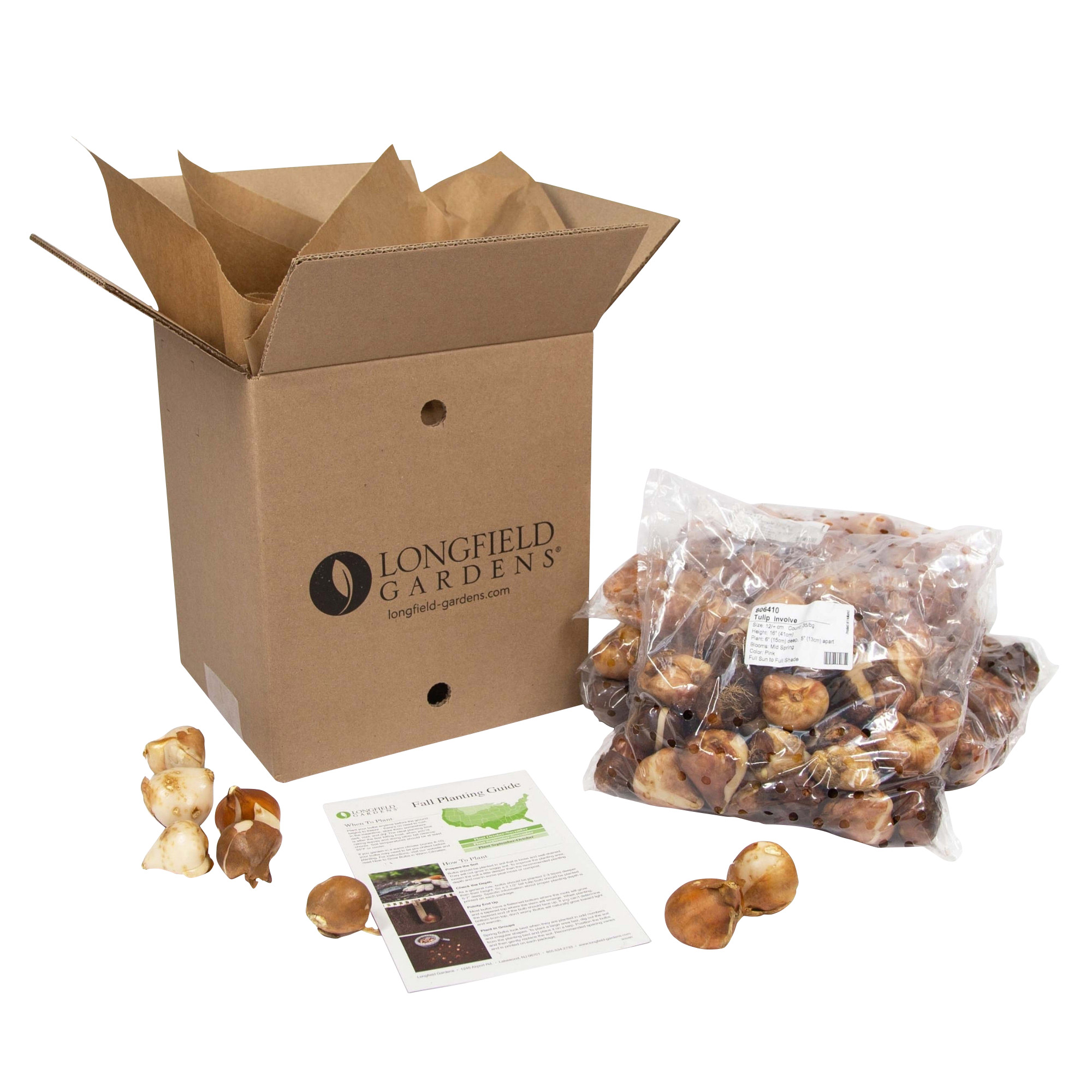 Enlarge Product Preview 7