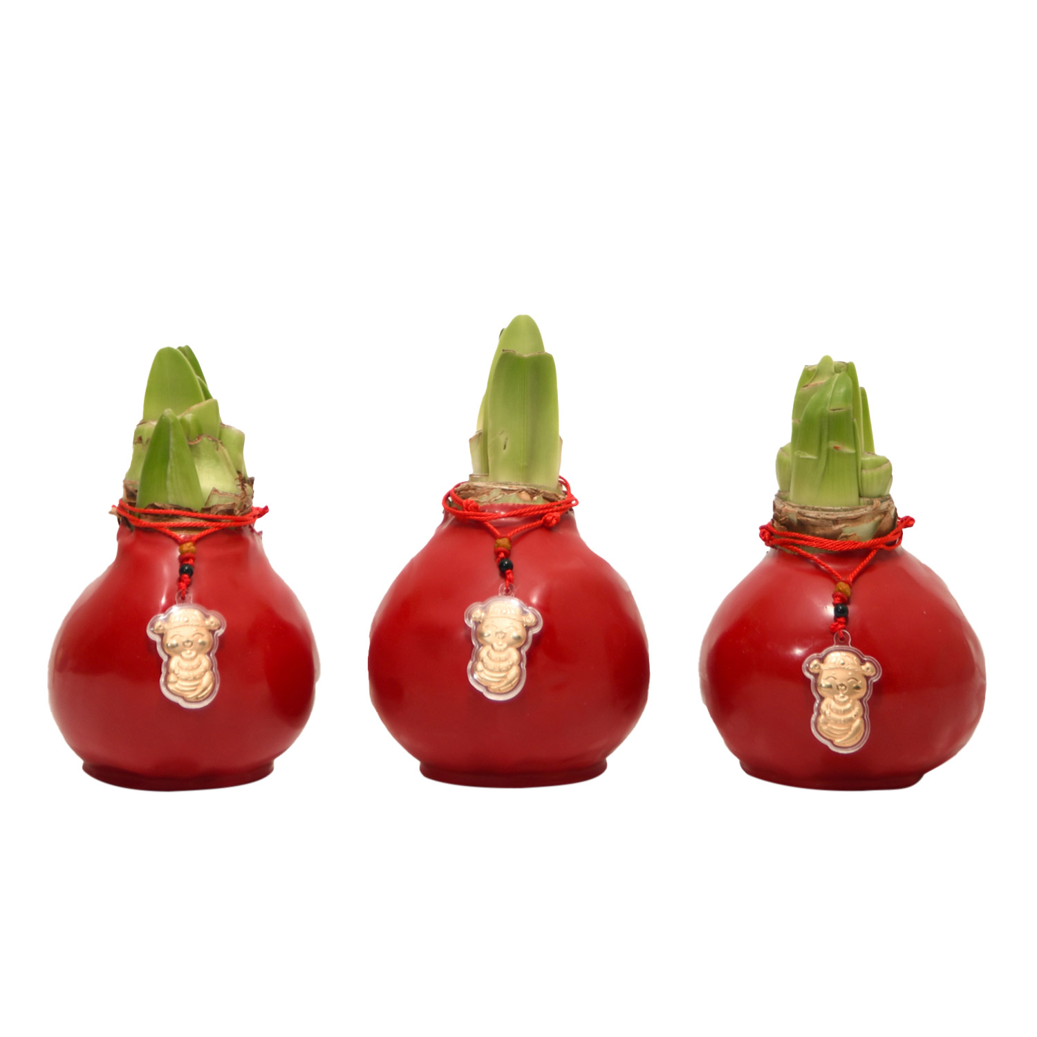 As Tucas　Millaris Bivy Sack 赤　美品 As Tucas Millaris Bivy Sack 赤 美品