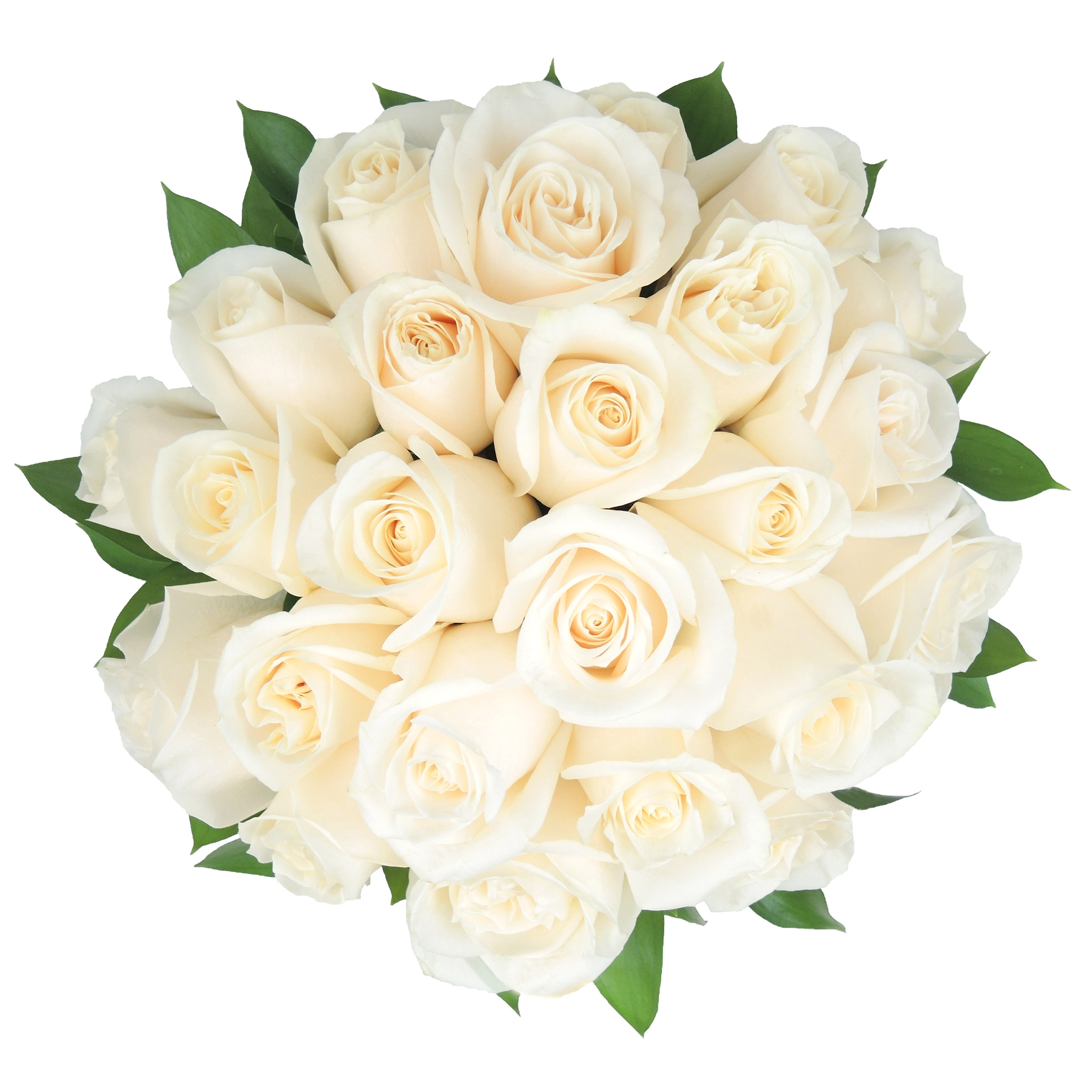 Romantic Rose Bridal Collection