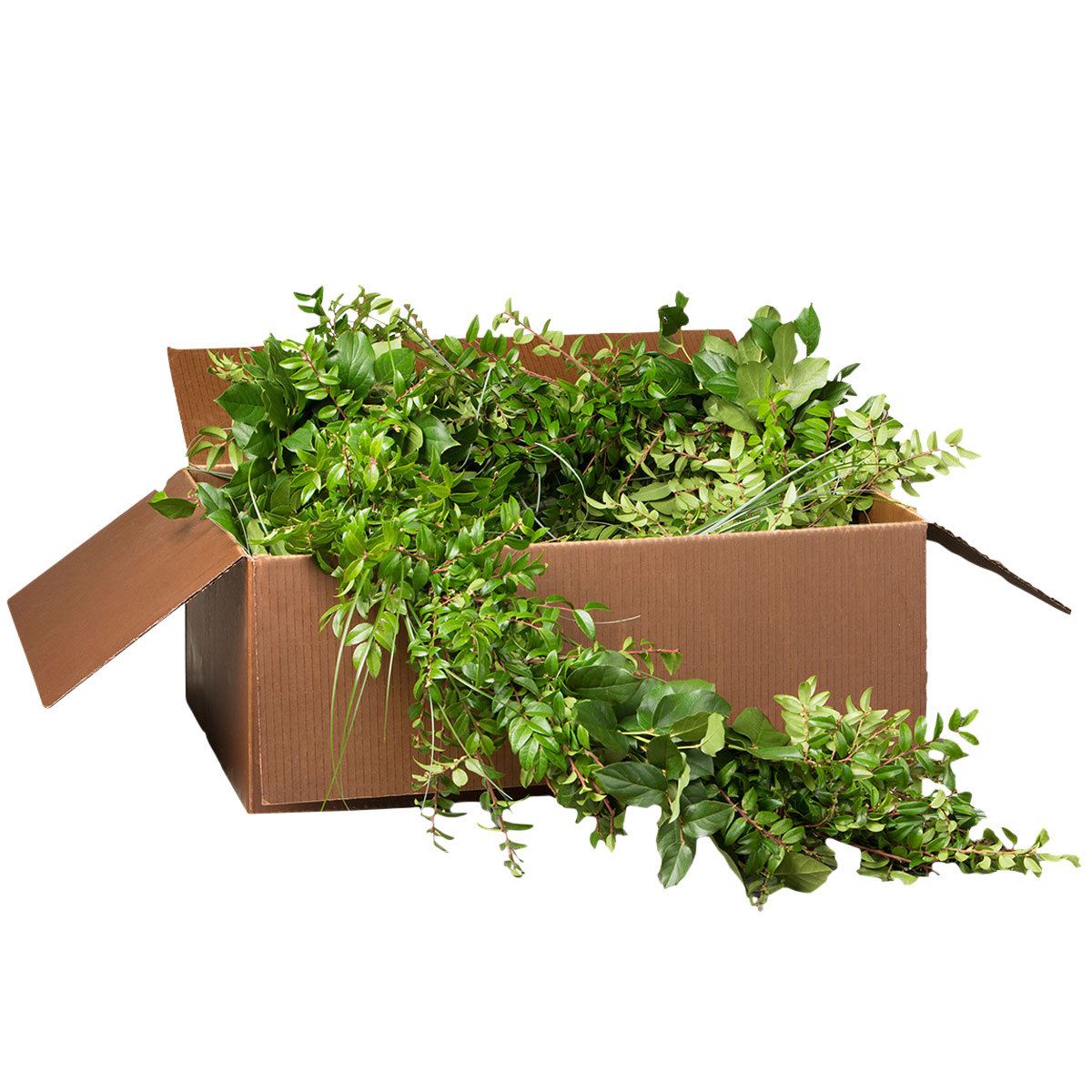 Enlarge Product Preview 5