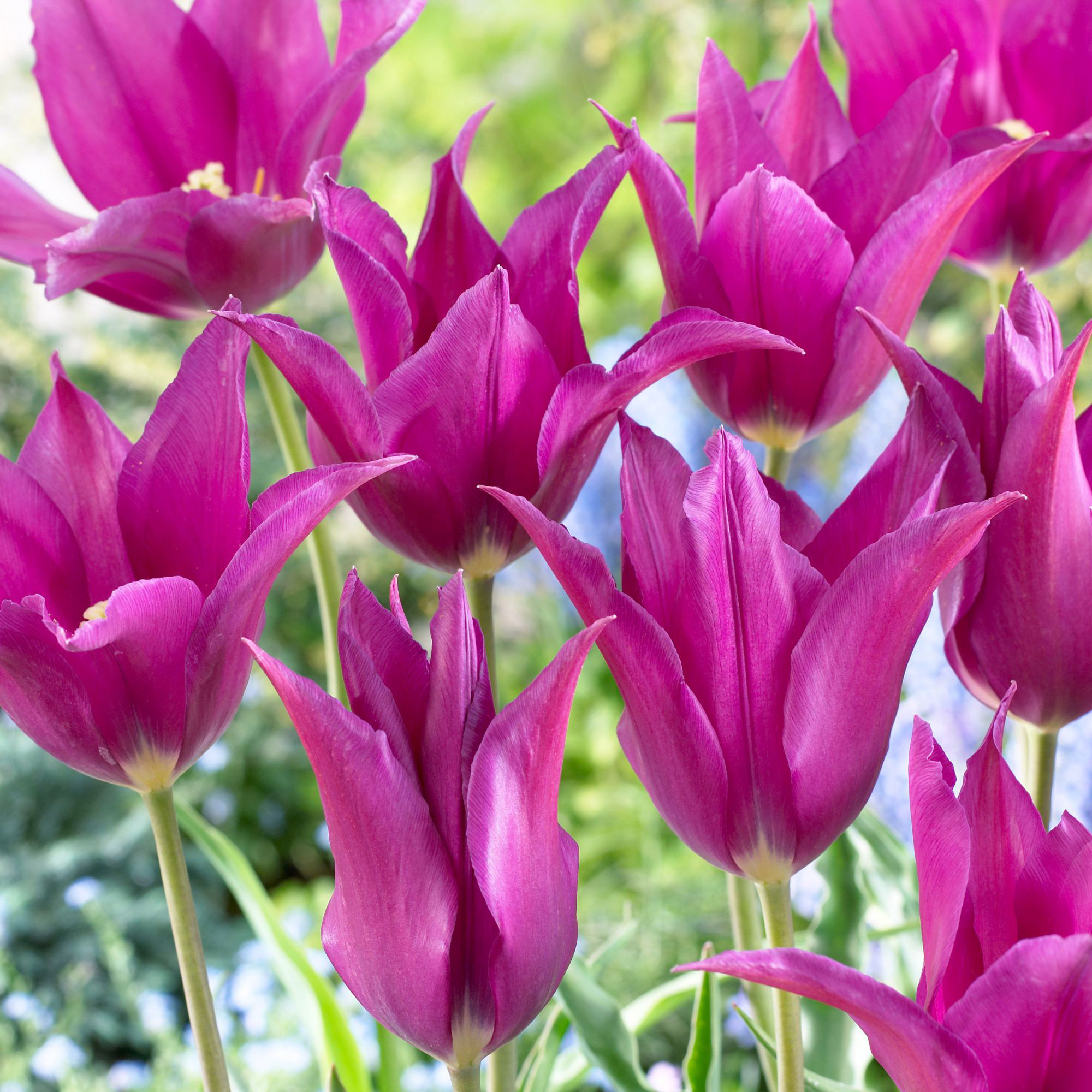 Enlarge Product Preview 6