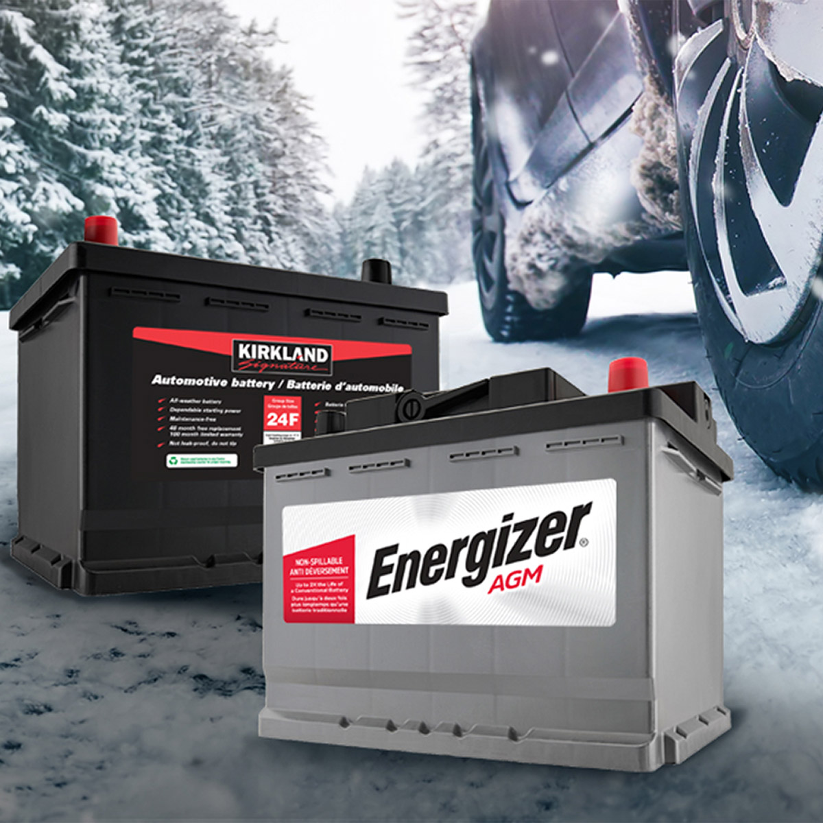 Automotive, Marine, PowerSports, Lawn & Garden and Golf Cart Batteries