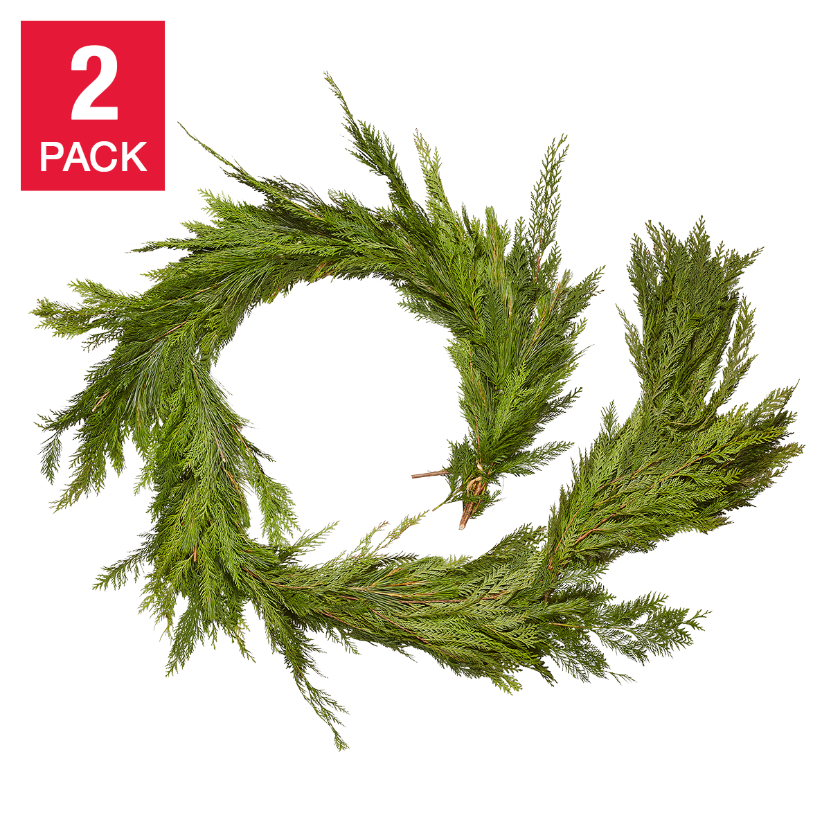 1.8 m (6 ft.) Fresh Holiday Pine and Western Cedar Garland, Table Runner, 2-pack