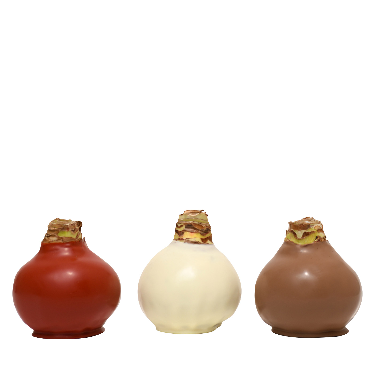 Enlarge Product Preview 4 Successfully Enriched by automation Job.