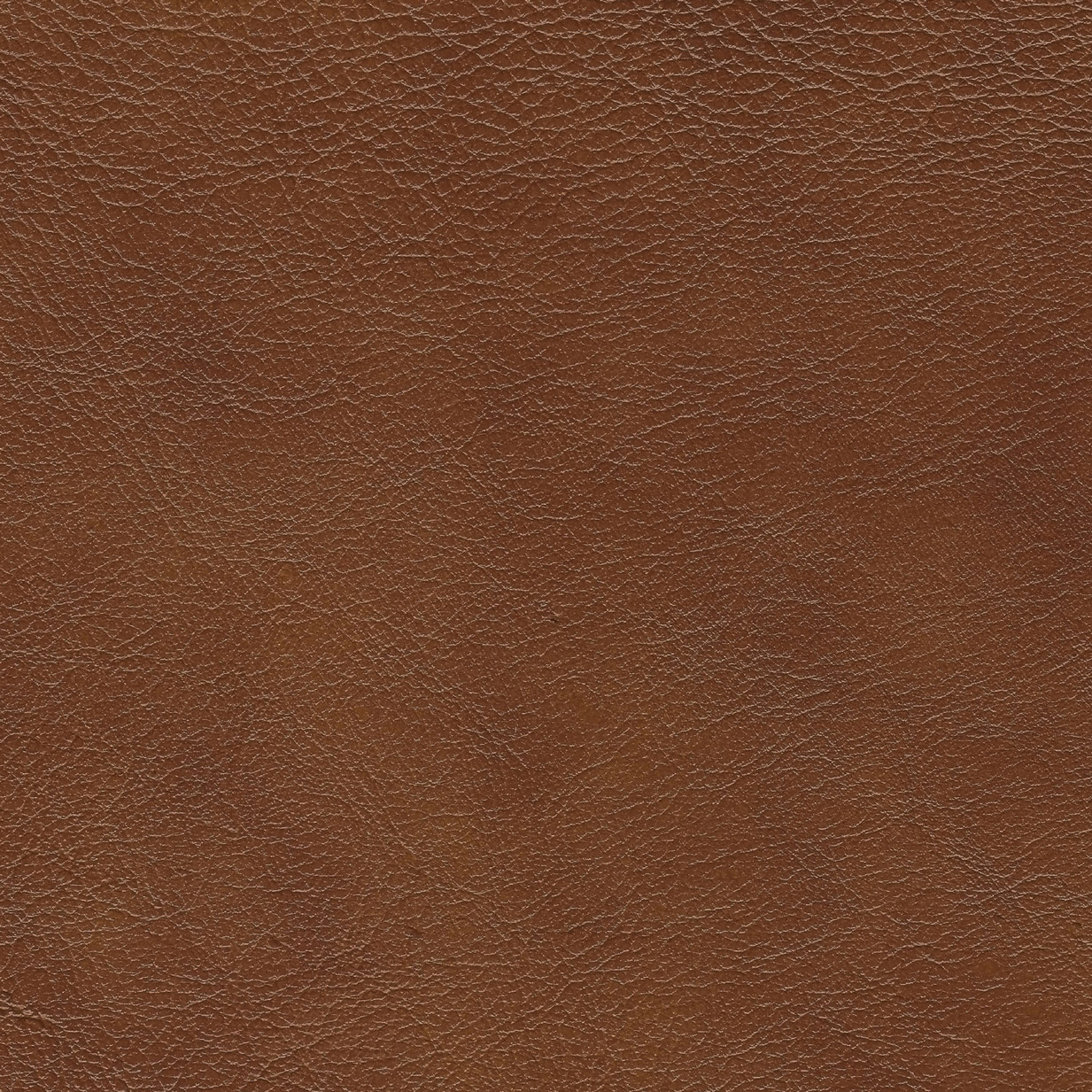 Enlarge Product Preview 7