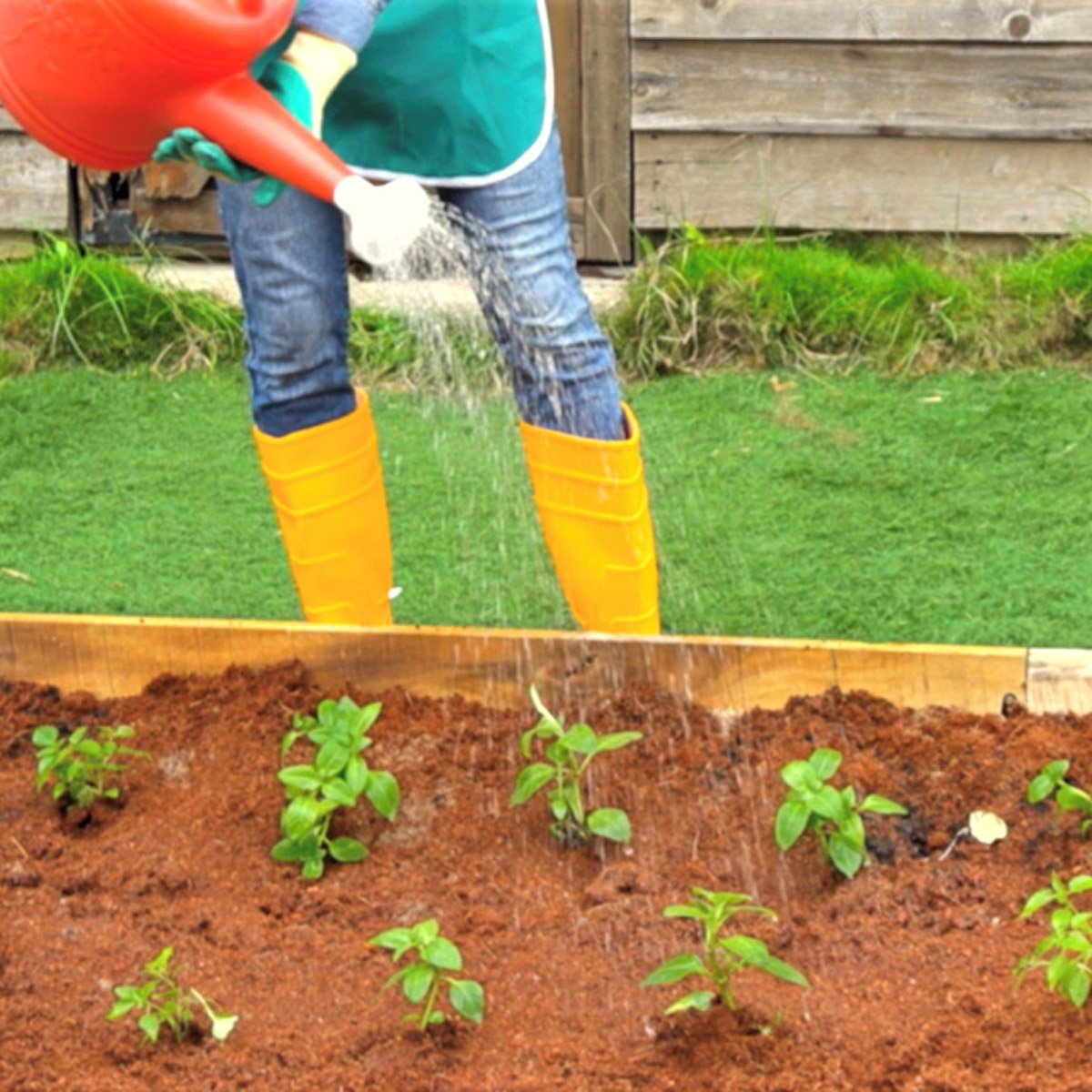 Enlarge Product Preview 7