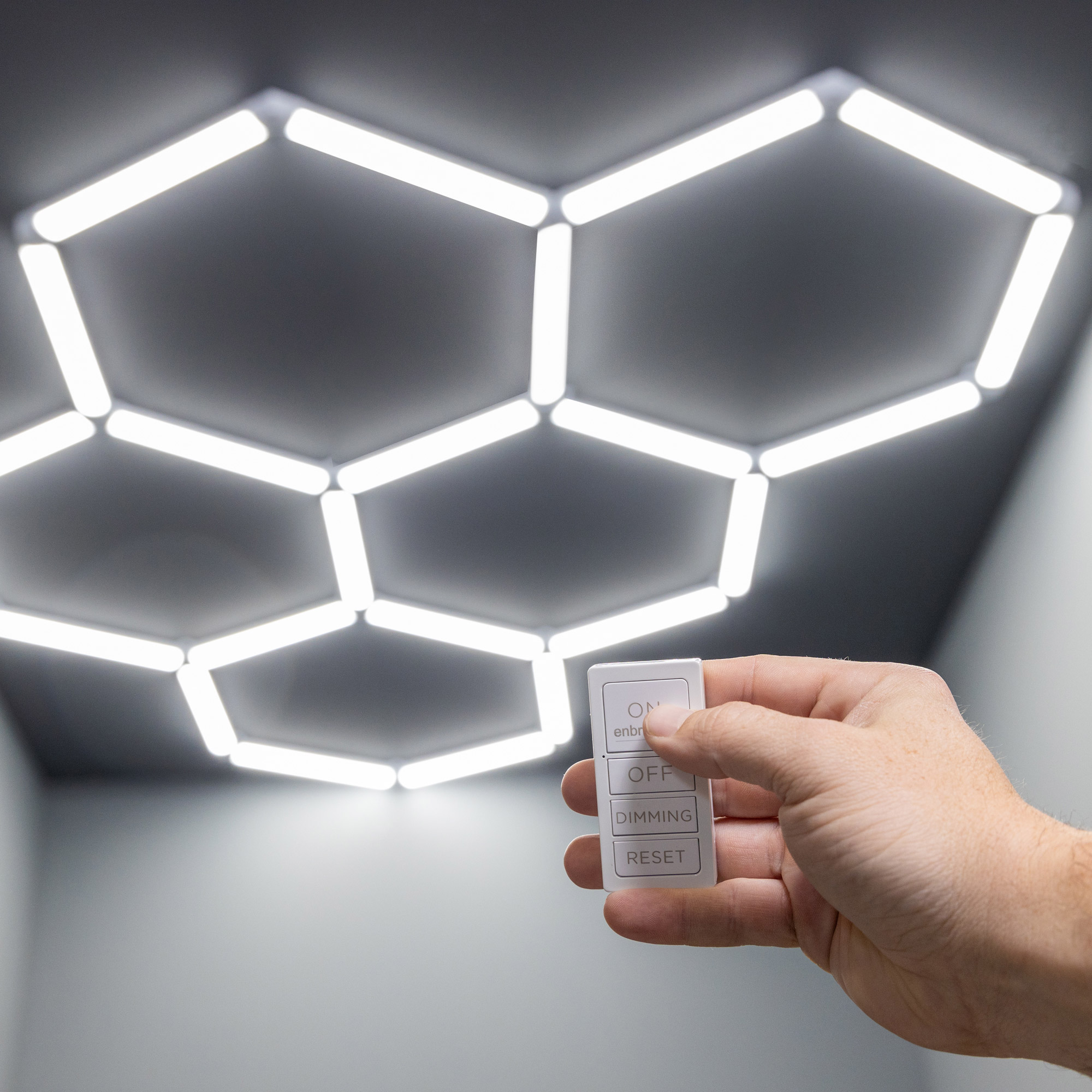 Enlarge Product Preview 4 Successfully Enriched by automation Job.