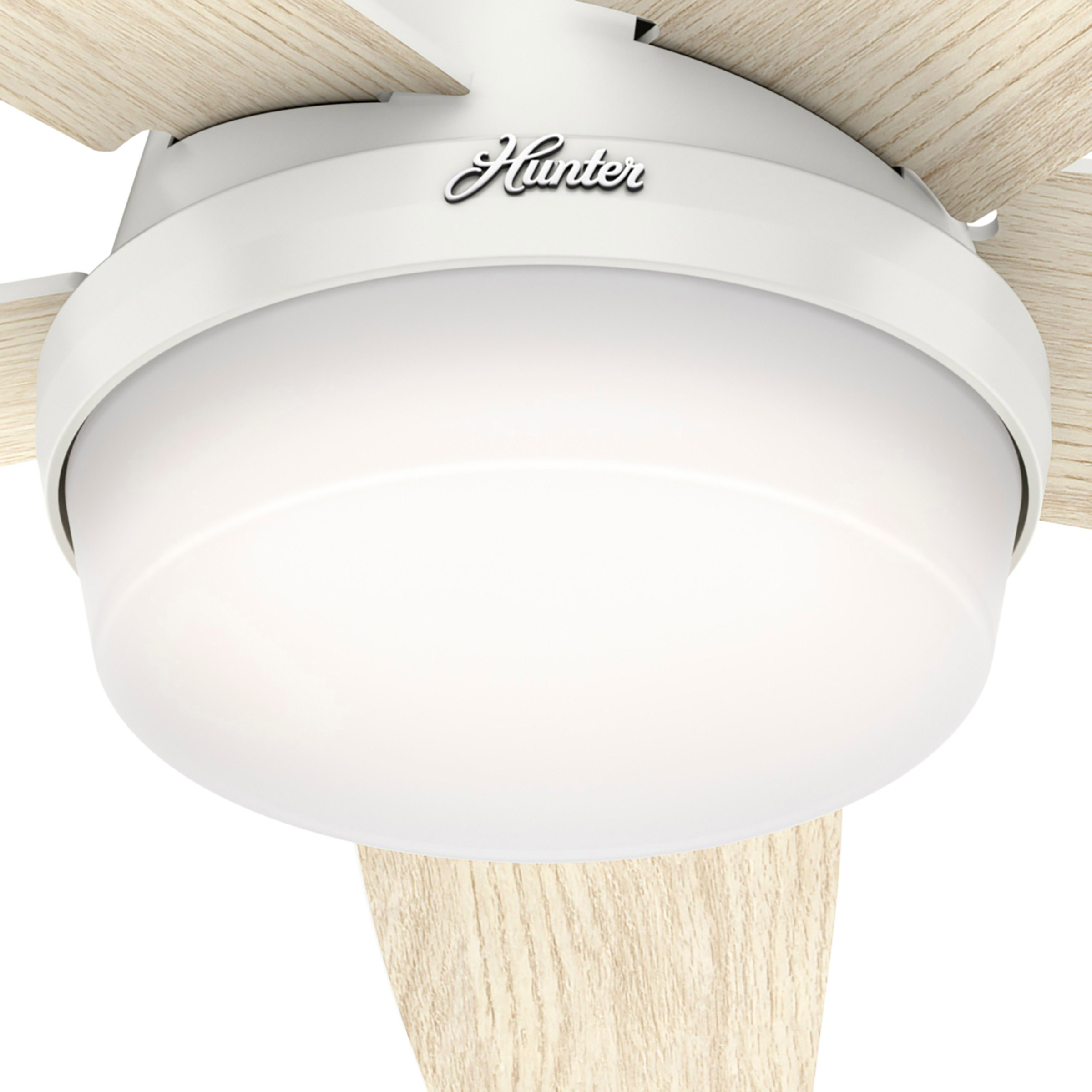 Enlarge Product Preview 5