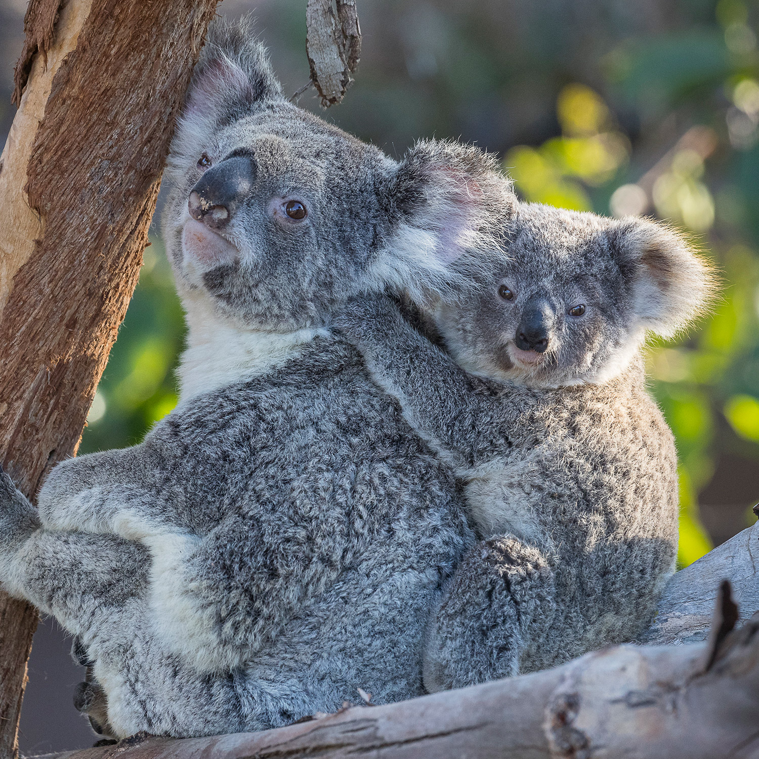 Enlarge Product Preview 5 Successfully Enriched by automation Job.