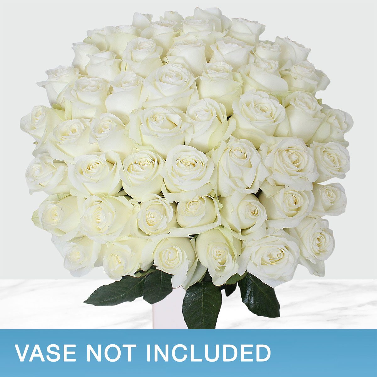 Enlarge Product Preview 2