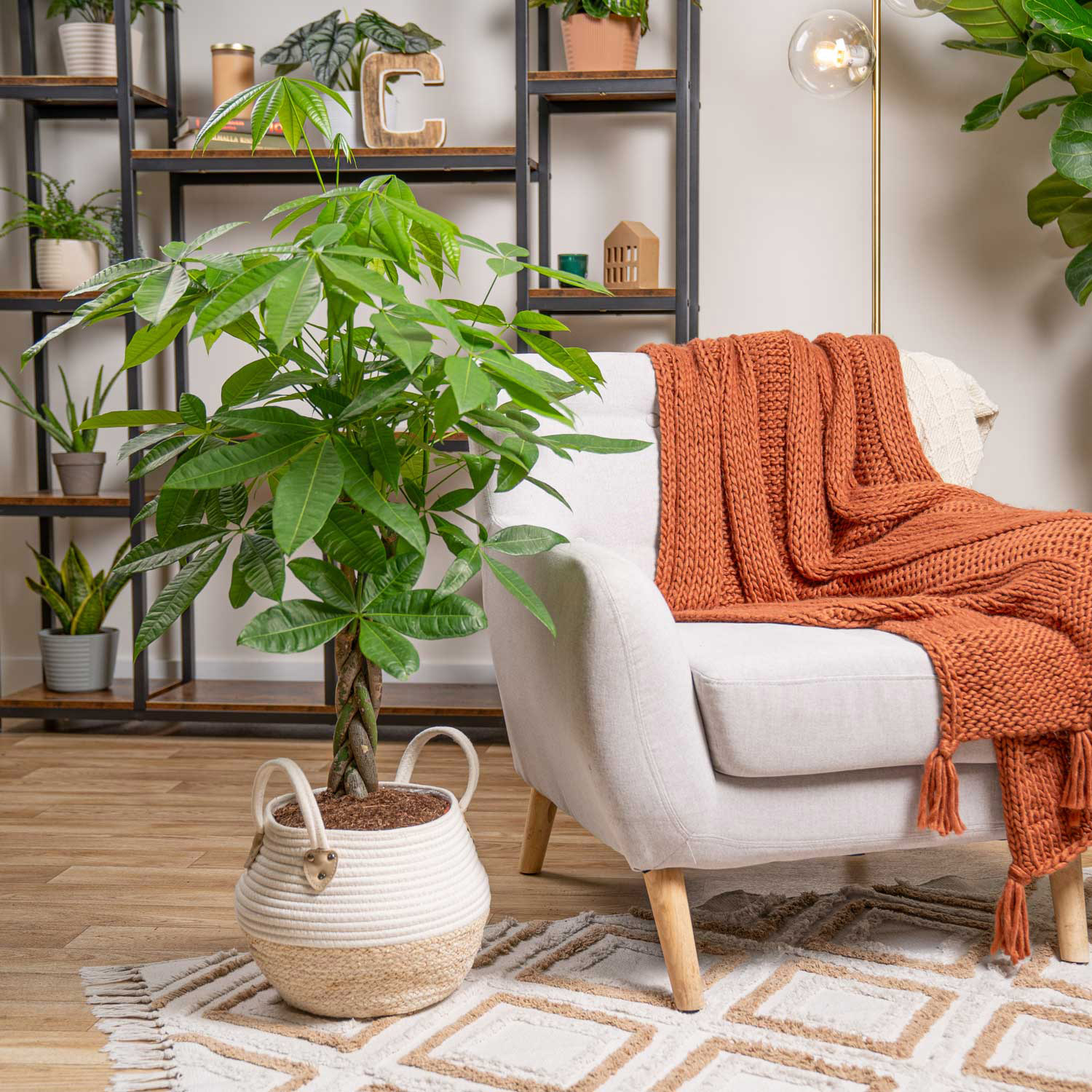 Enlarge Product Preview 3 Successfully Enriched by automation Job.