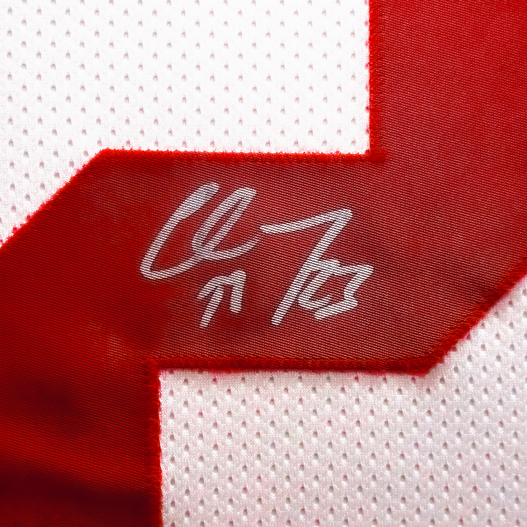 Enlarge Product Preview 3 Successfully Enriched by automation Job.