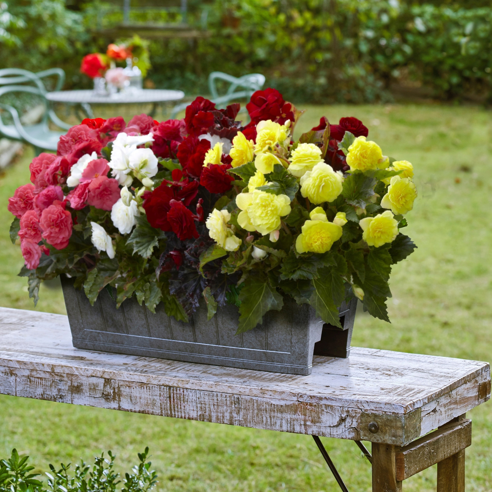 Enlarge Product Preview 2