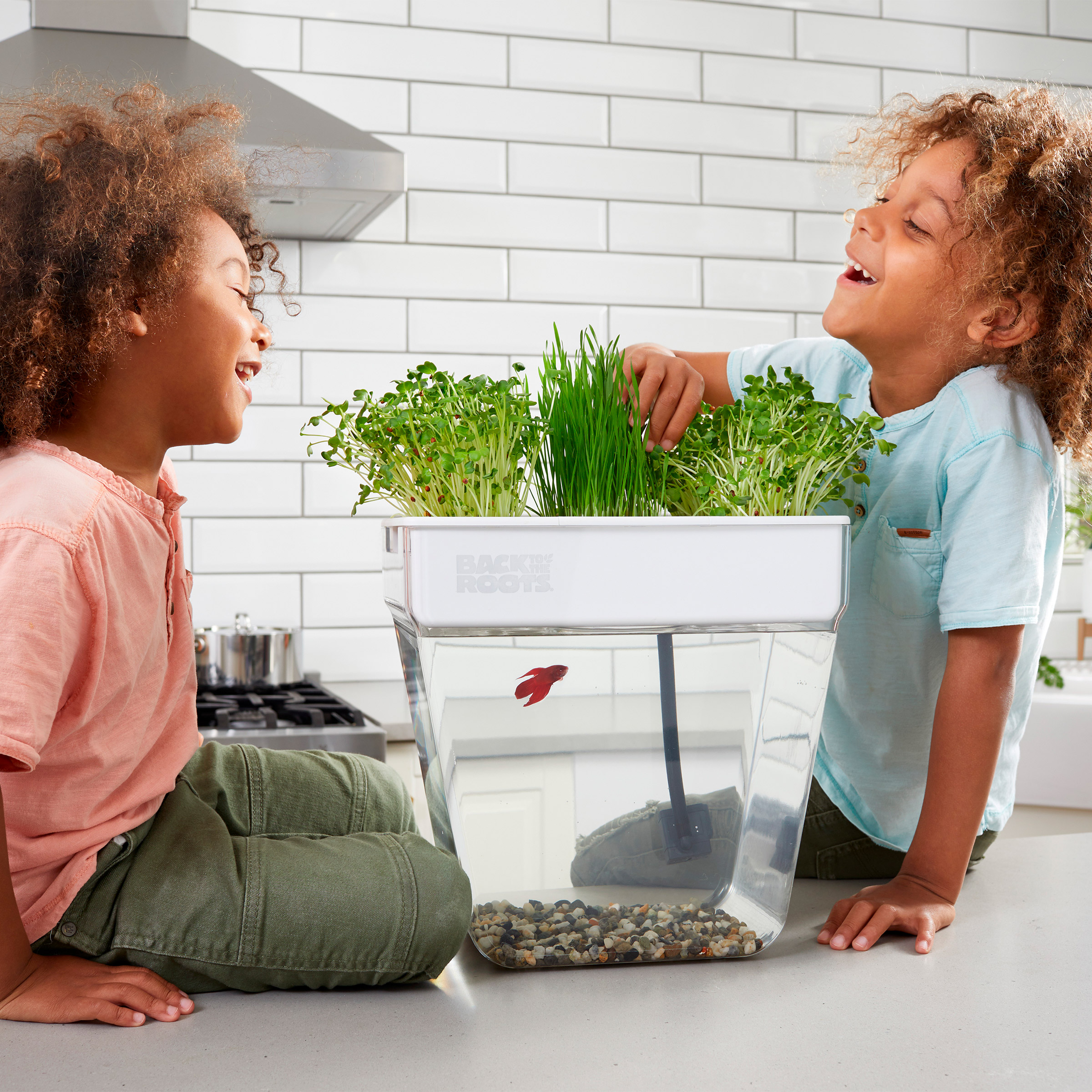 Enlarge Product Preview 3