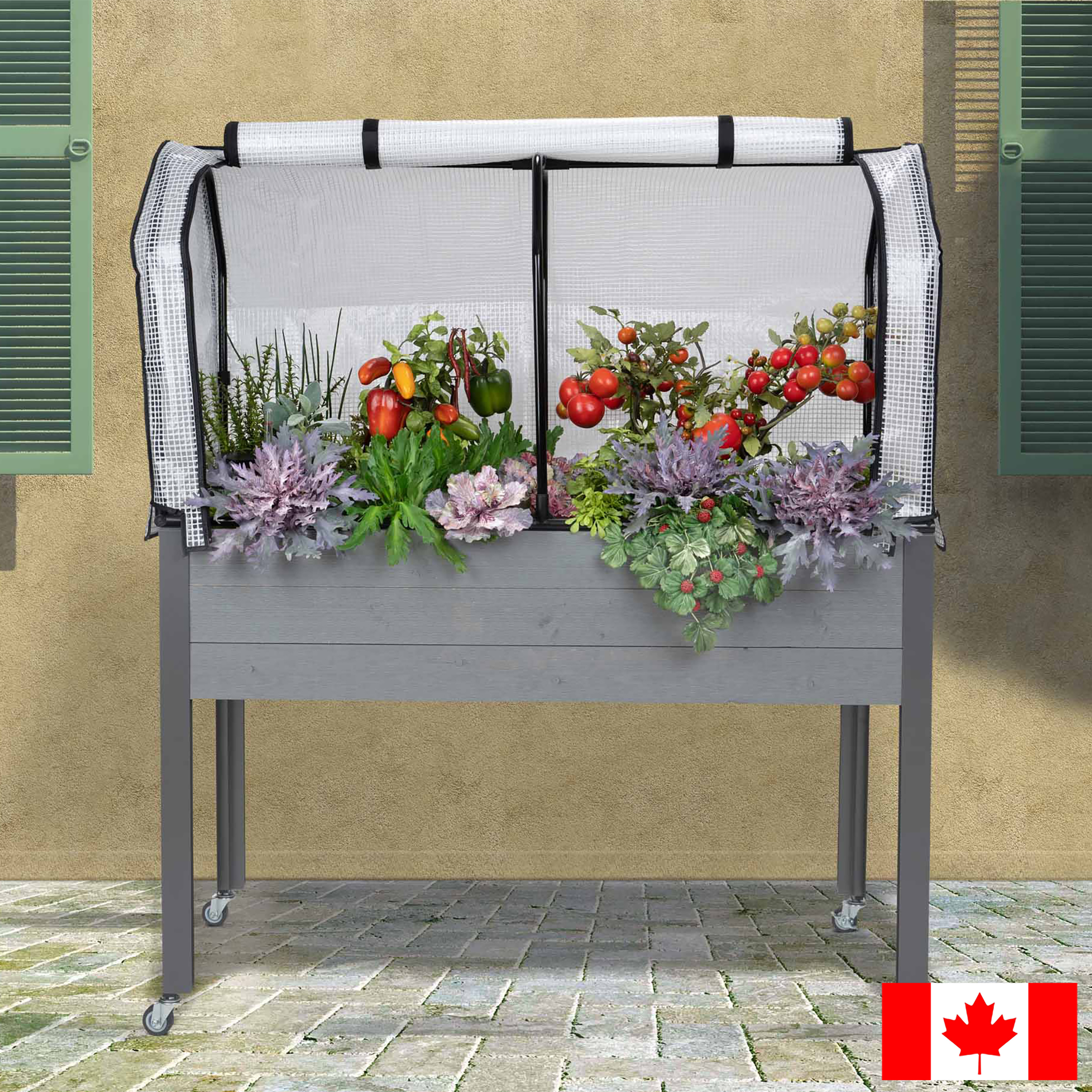 CedarCraft 81 cm (32 in.) Self-watering Elevated Planter with Greenhouse and Cover