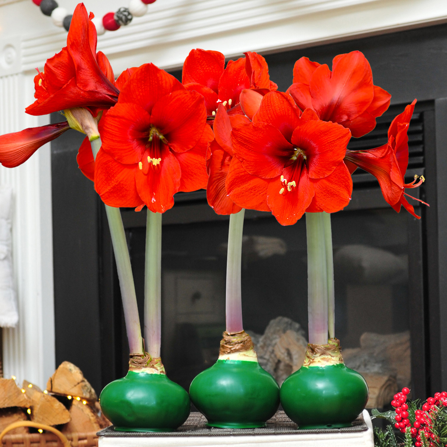 Enlarge Product Preview 2