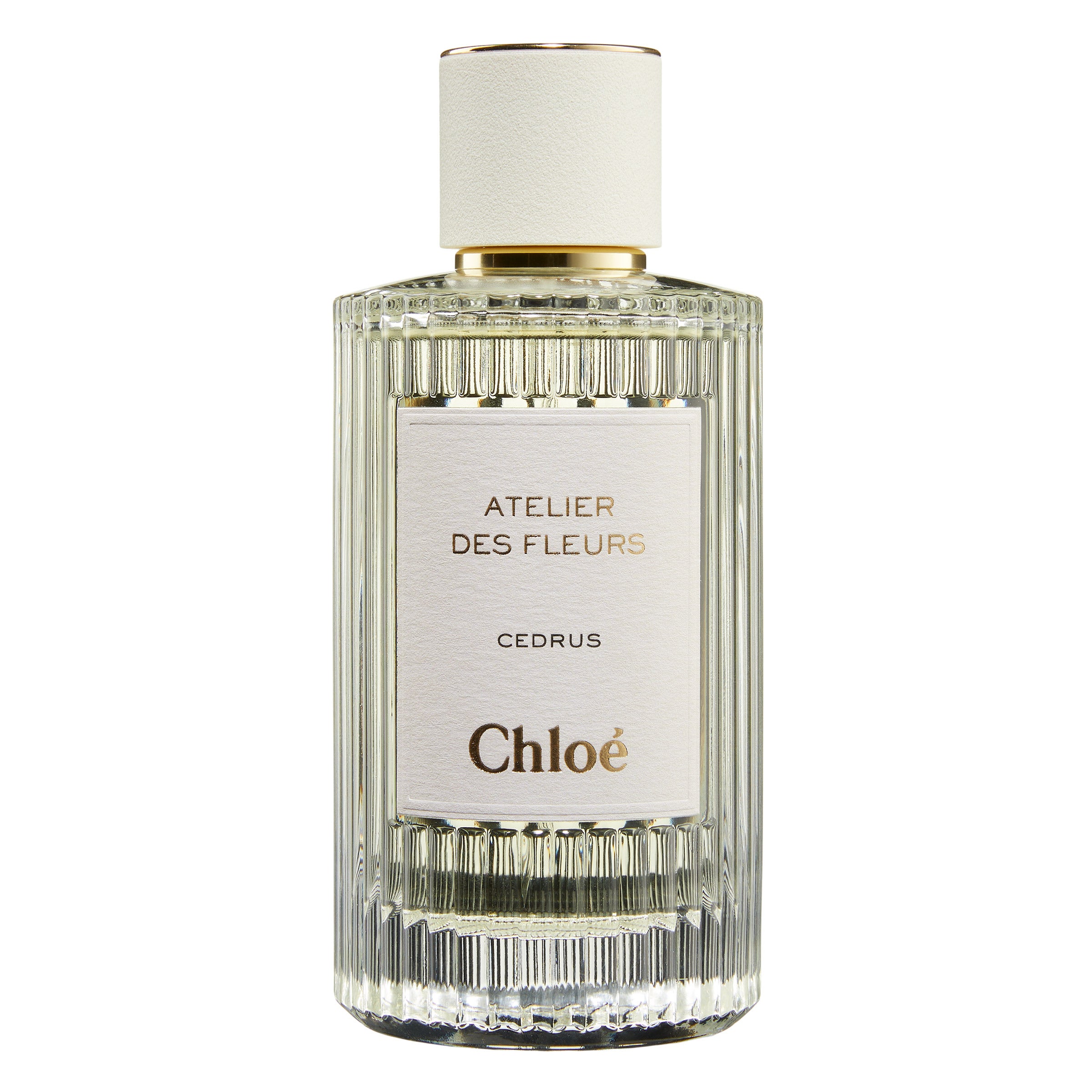 Chloe Atelier des Fleurs Cedrus Eau de Parfum, 5.0 fl oz | Costco