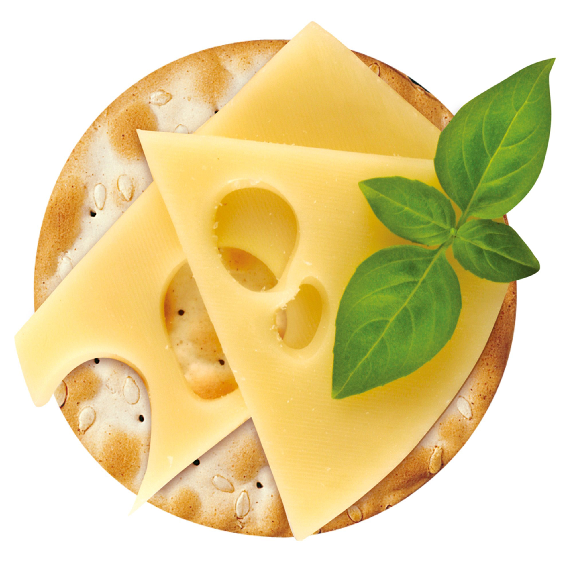 Enlarge Product Preview 5 Successfully Enriched by automation Job.