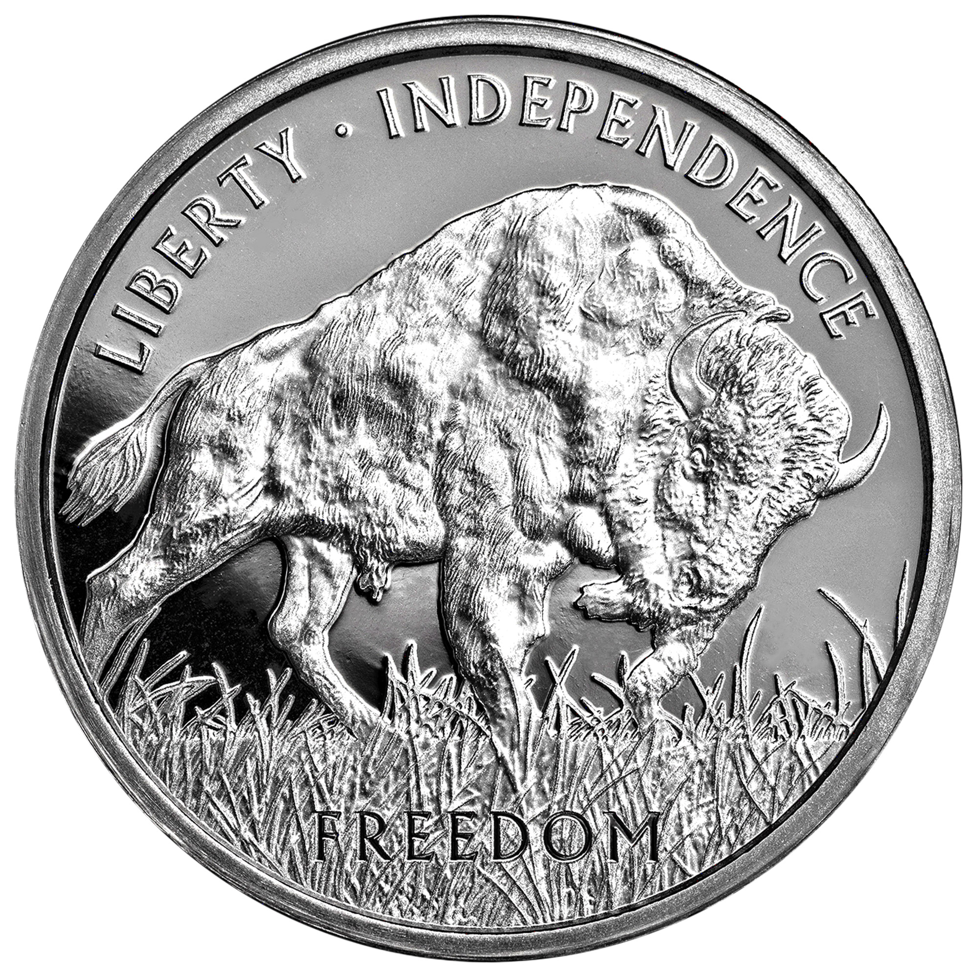 2024 1 oz PAMP American Buffalo Silver Round, 20-count