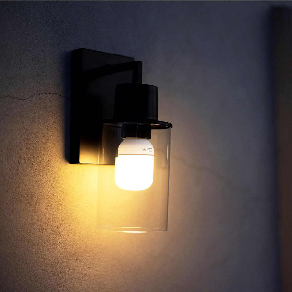 Enlarge Product Preview 4 Successfully Enriched by automation Job.