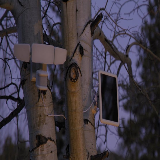 Play Product Video 1