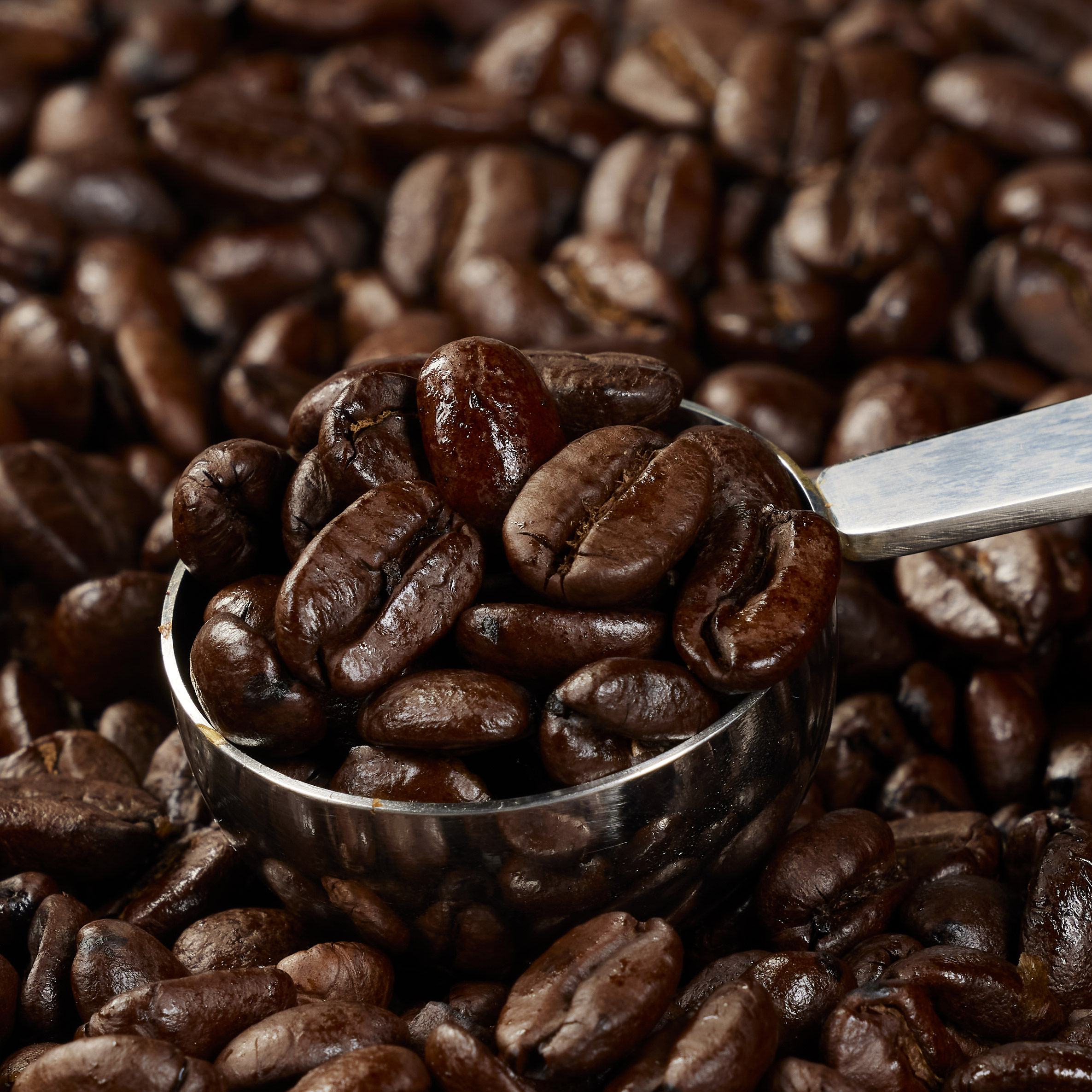 Enlarge Product Preview 6