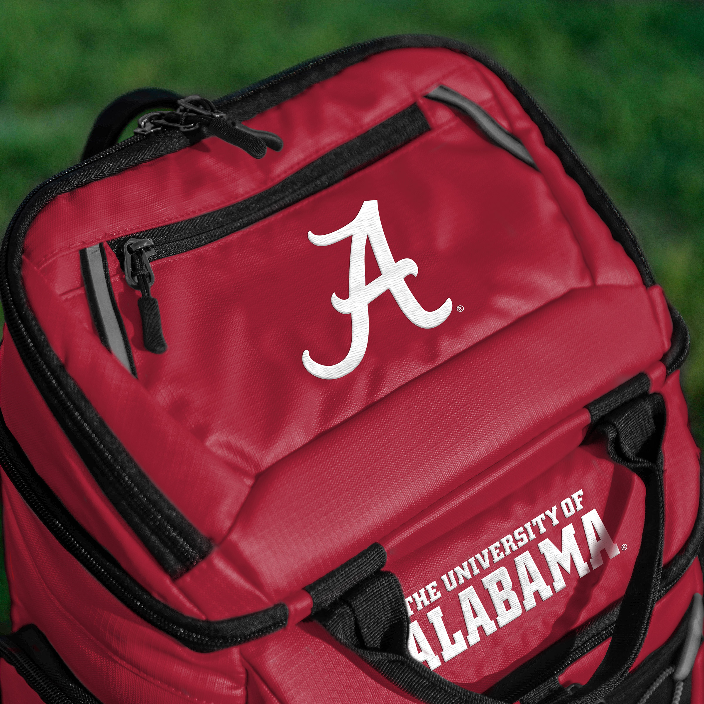 Enlarge Product Preview 2 Successfully Enriched by automation Job.