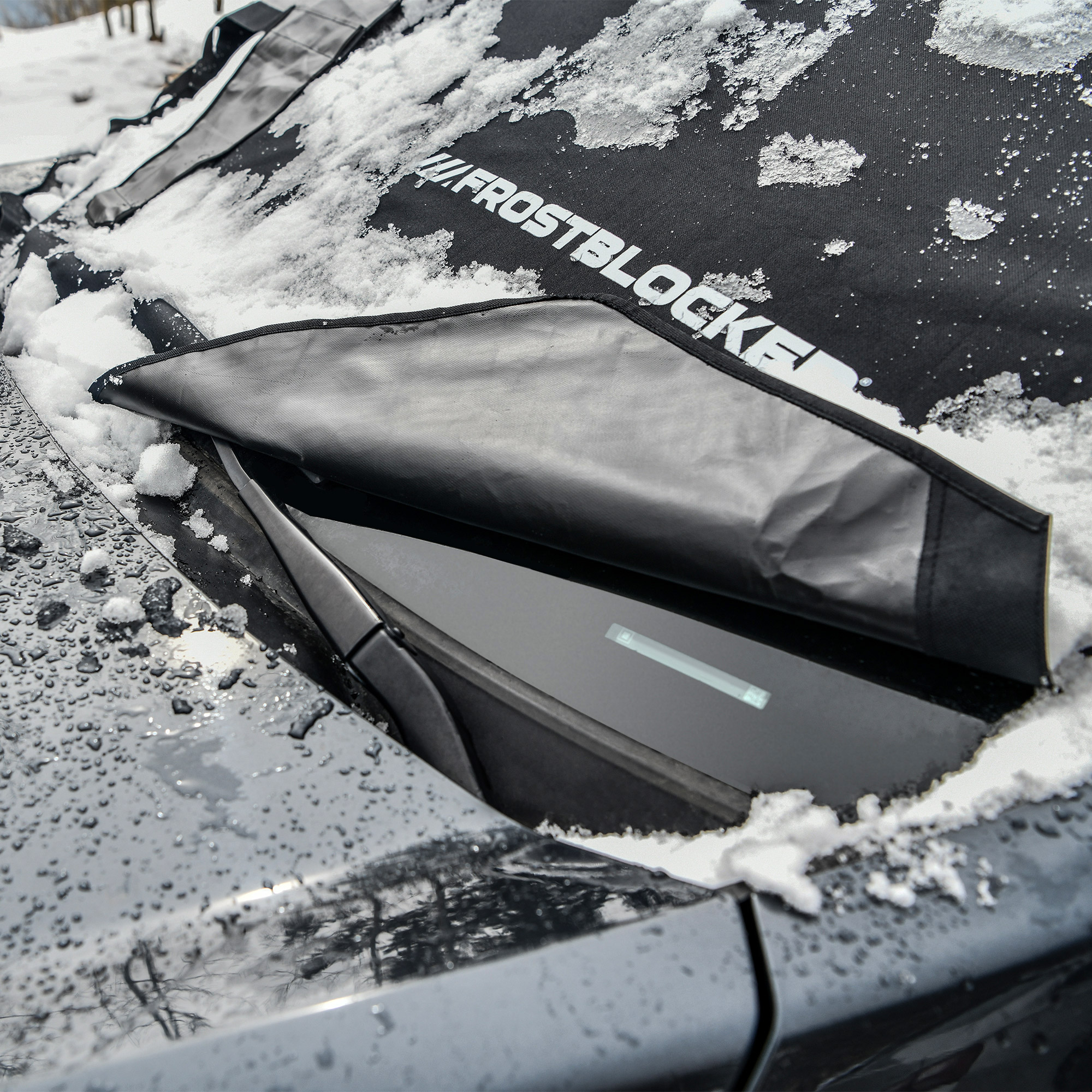 Enlarge Product Preview 7 Successfully Enriched by automation Job.