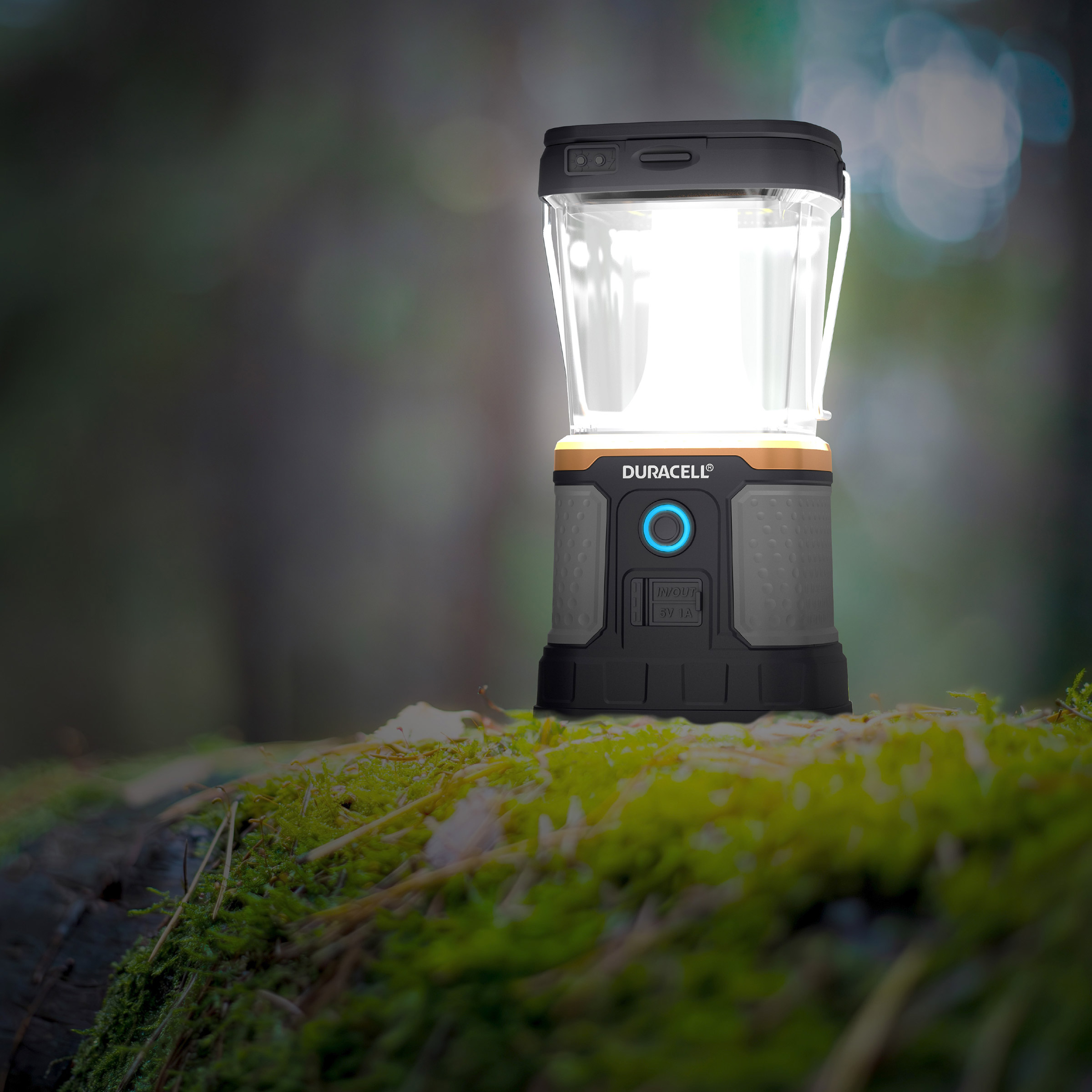 Enlarge Product Preview 8 Successfully Enriched by automation Job.