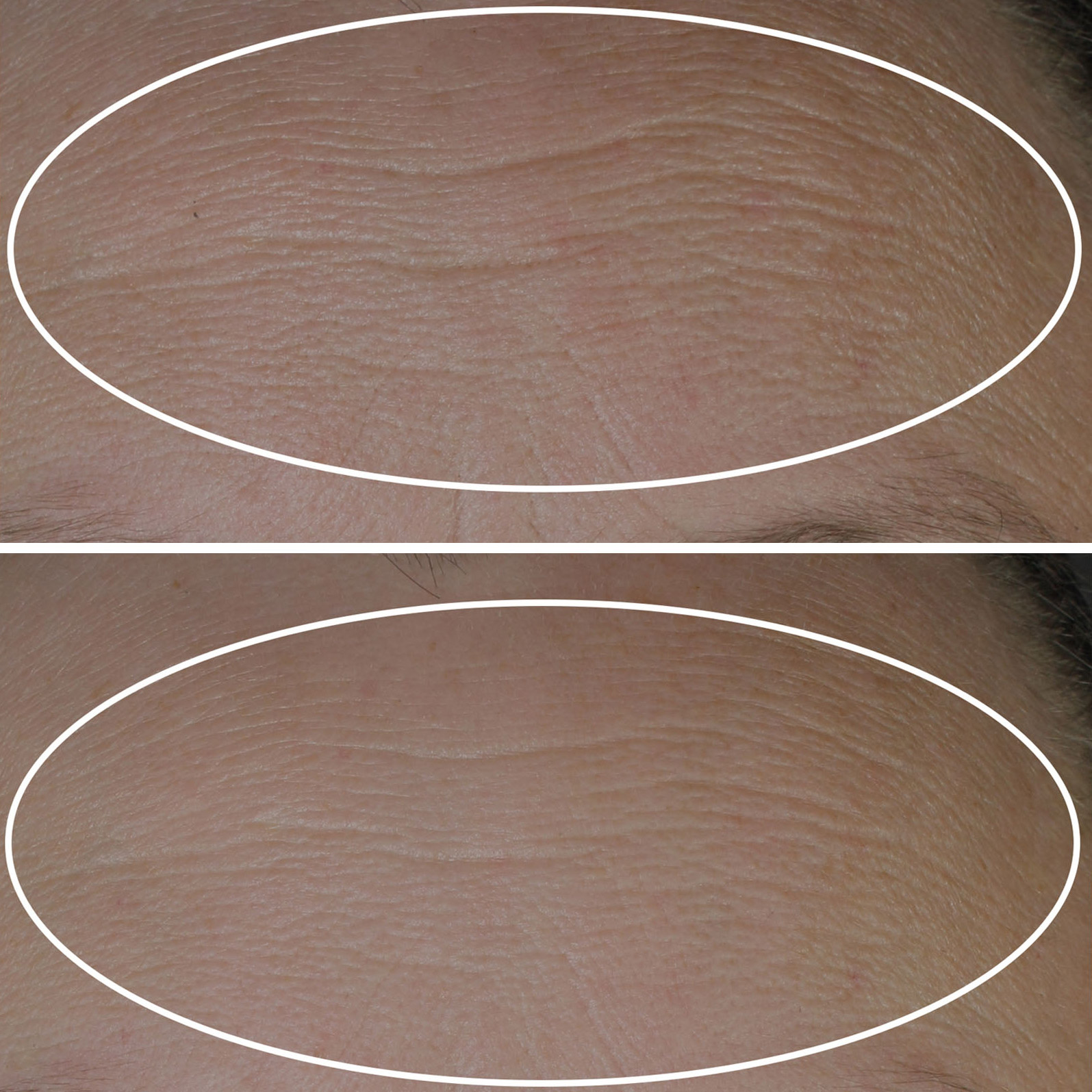 Enlarge Product Preview 5