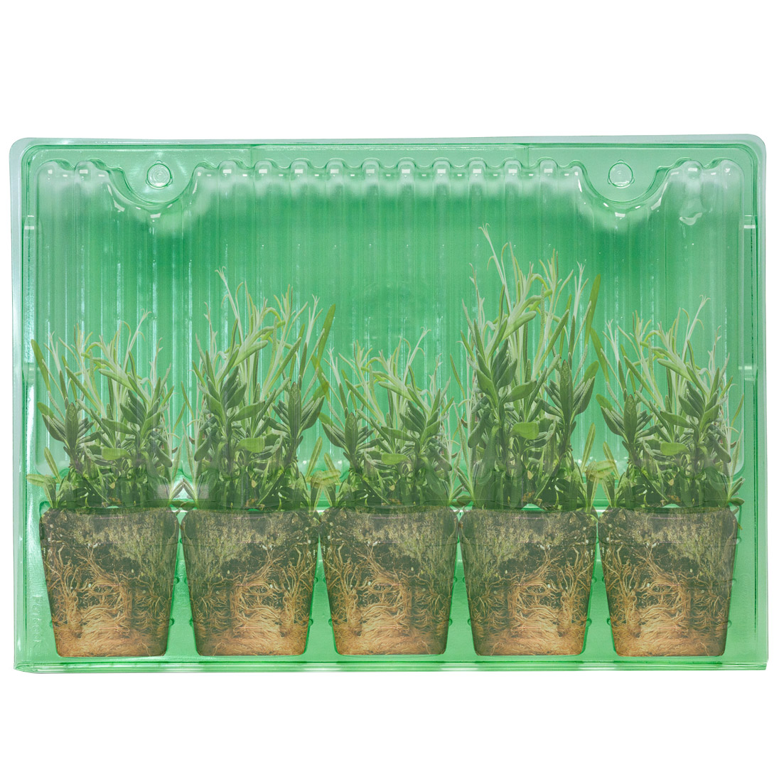 Enlarge Product Preview 3