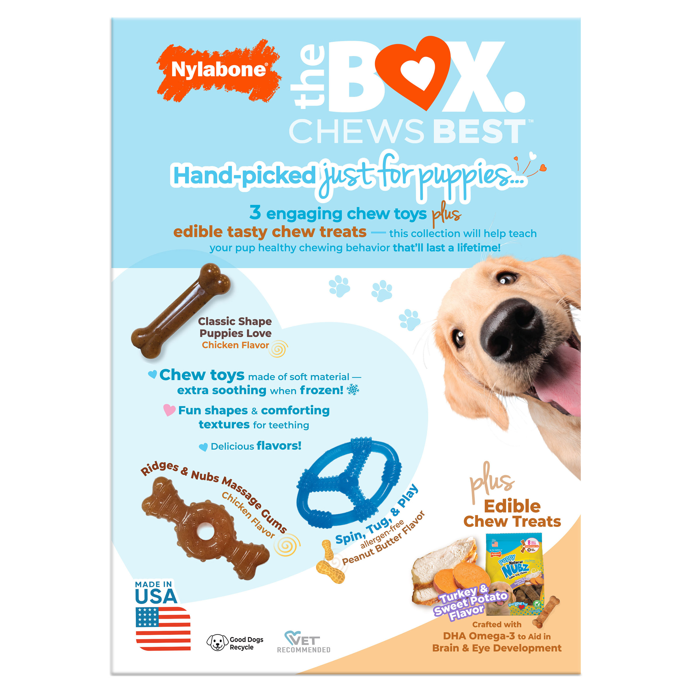dog toy box Amish Handcrafted Pet Toy Box – Pet Crates Direct main image 1