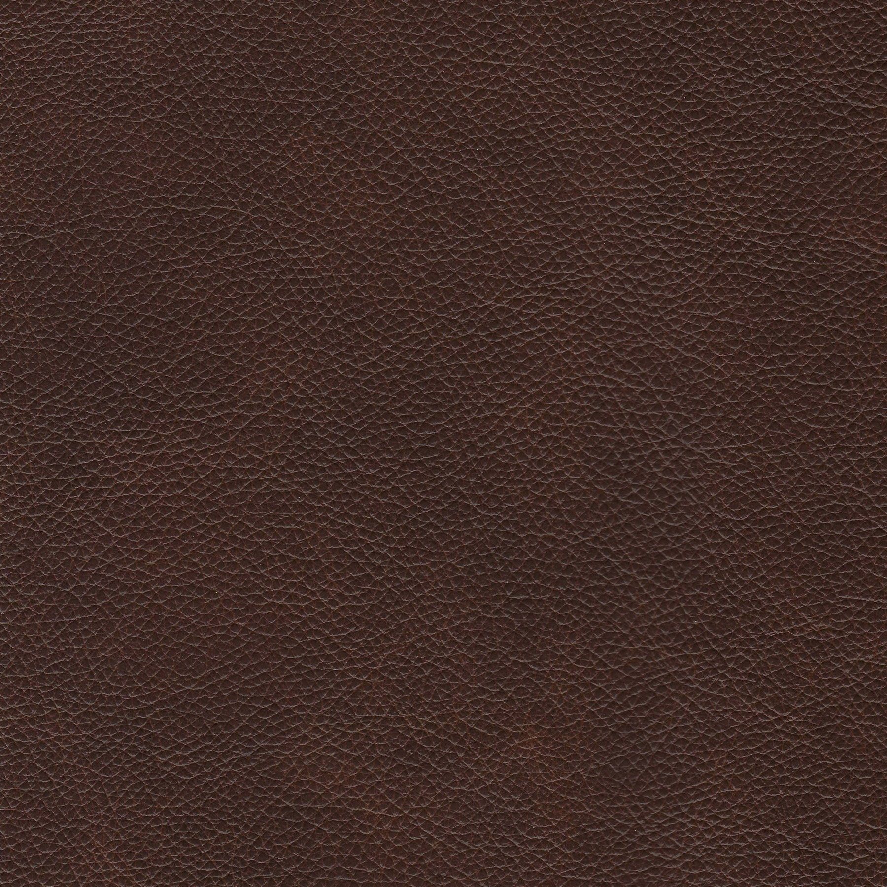 Enlarge Product Preview 8