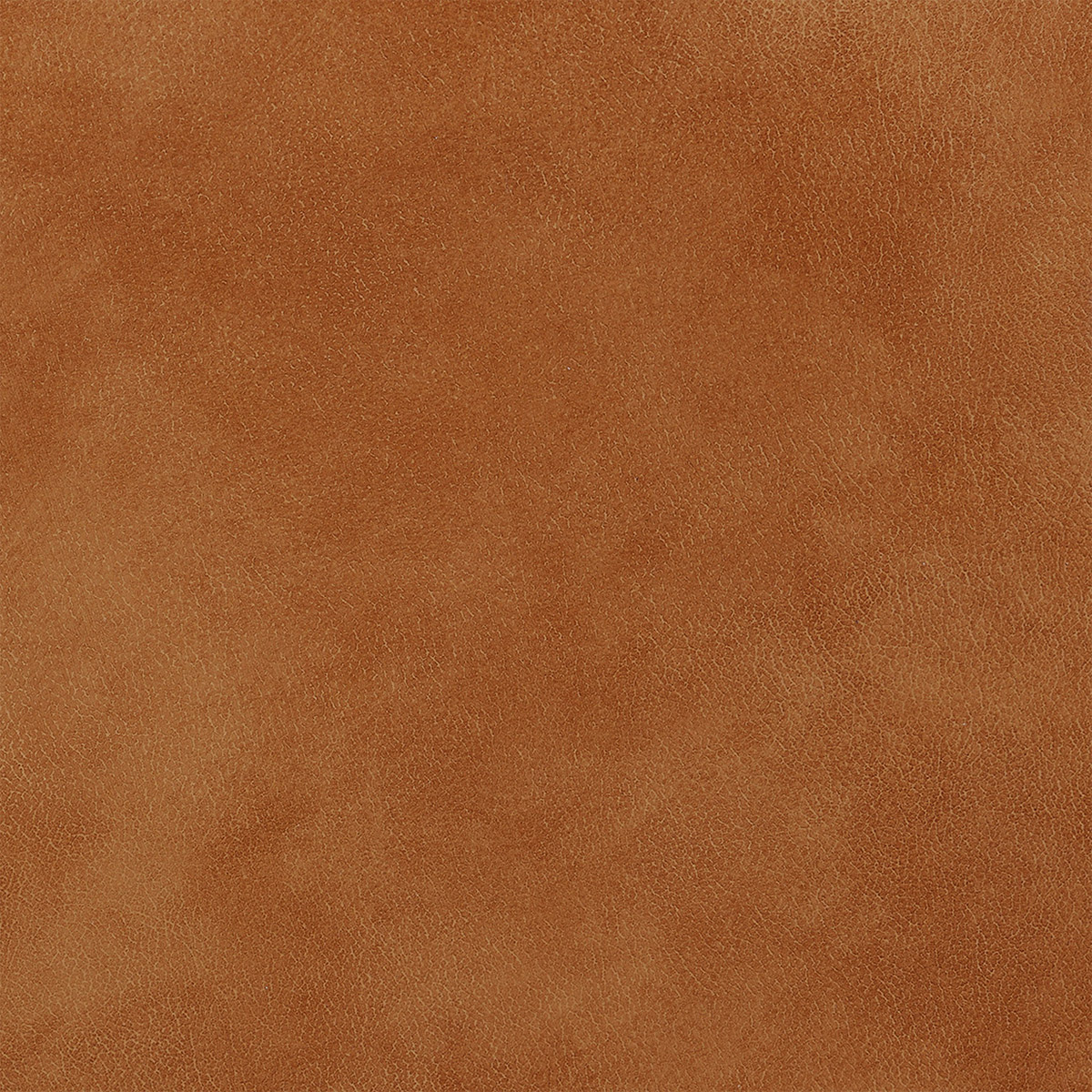 Enlarge Product Preview 18