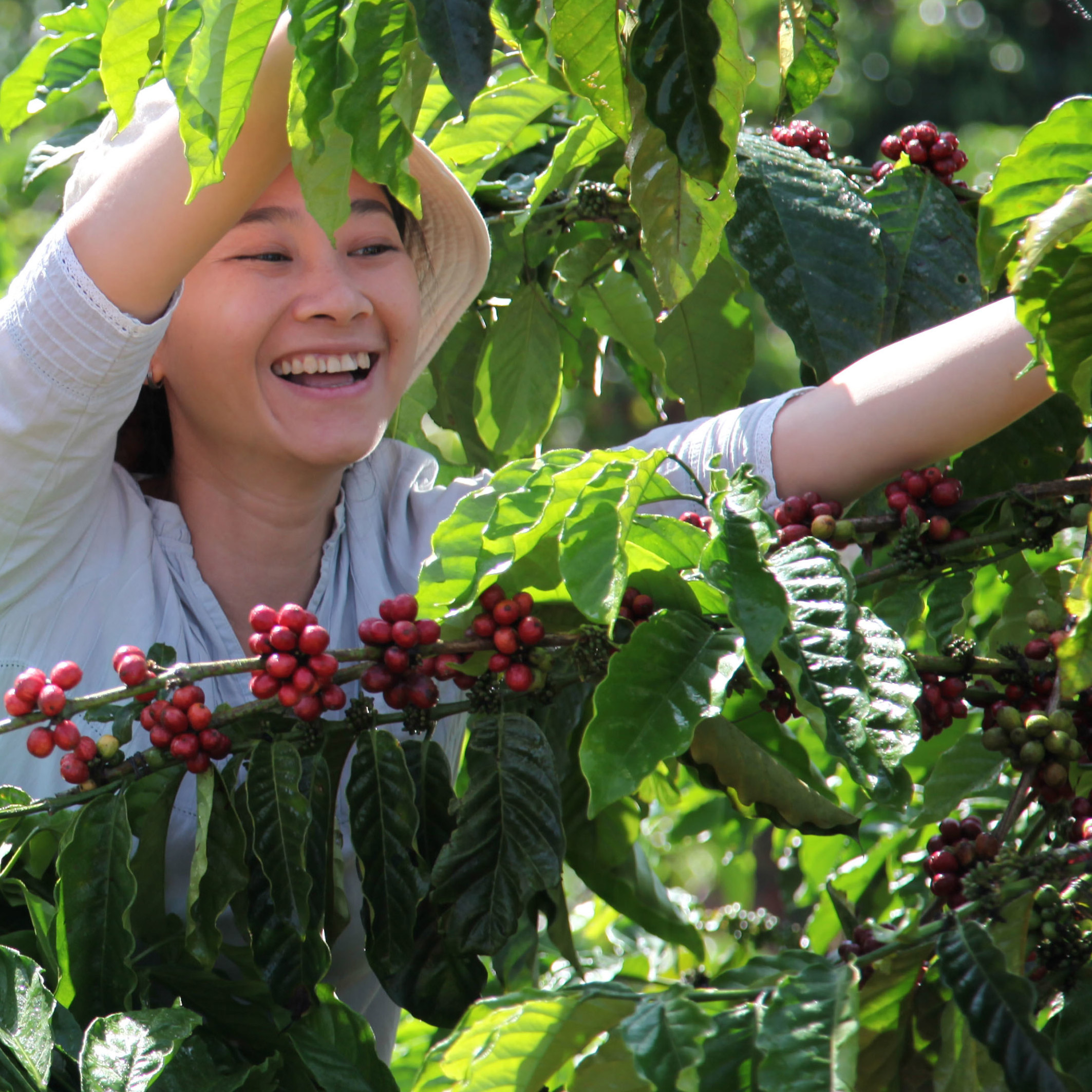 Enlarge Product Preview 5 Successfully Enriched by automation Job.