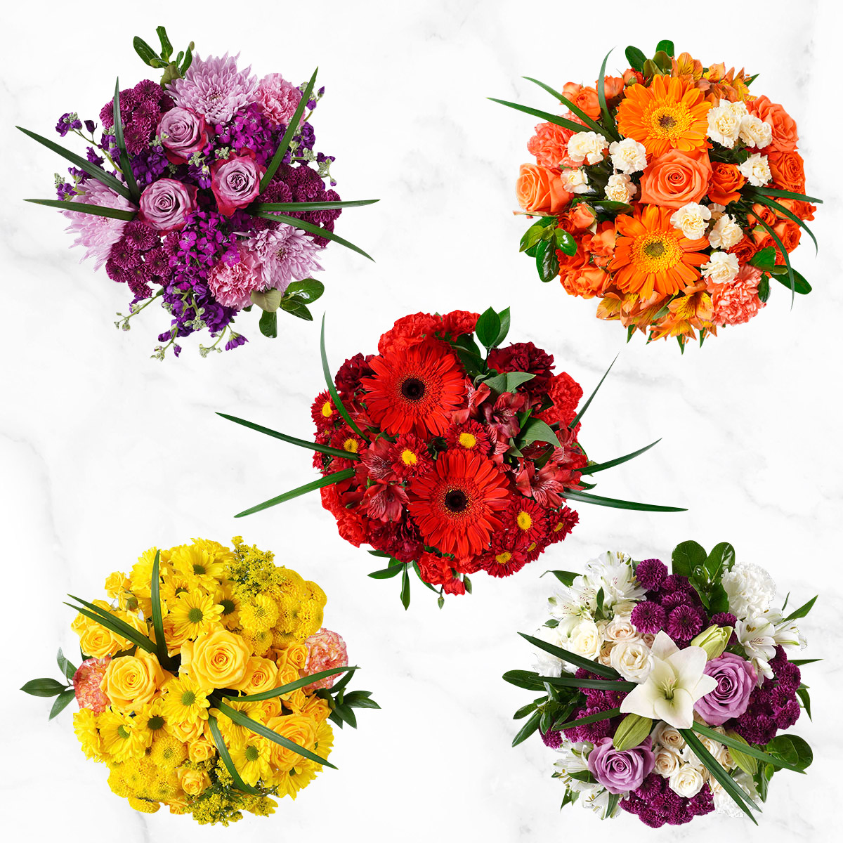 Mountain Bouquet Event Collection  10-count
