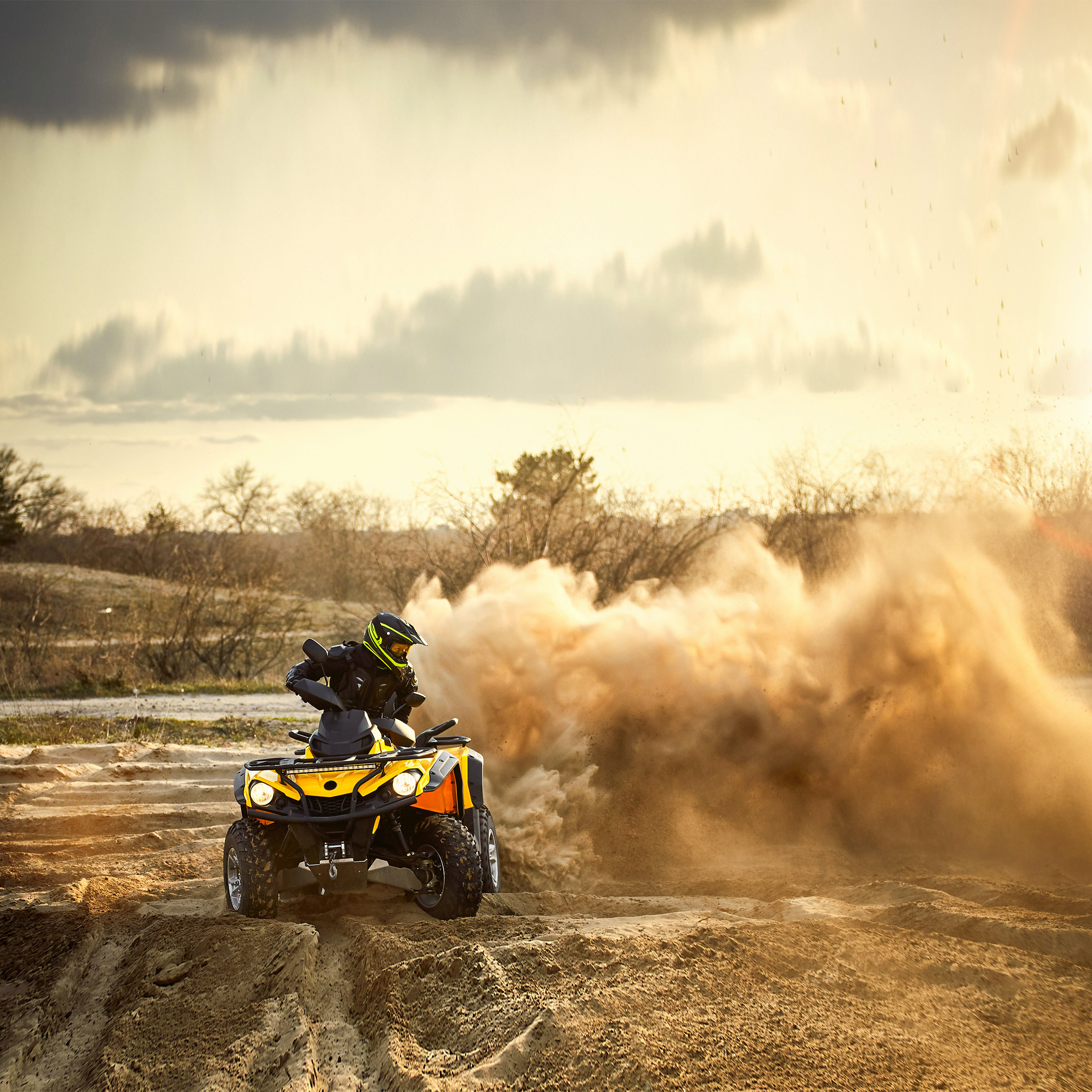 Enlarge Product Preview 3