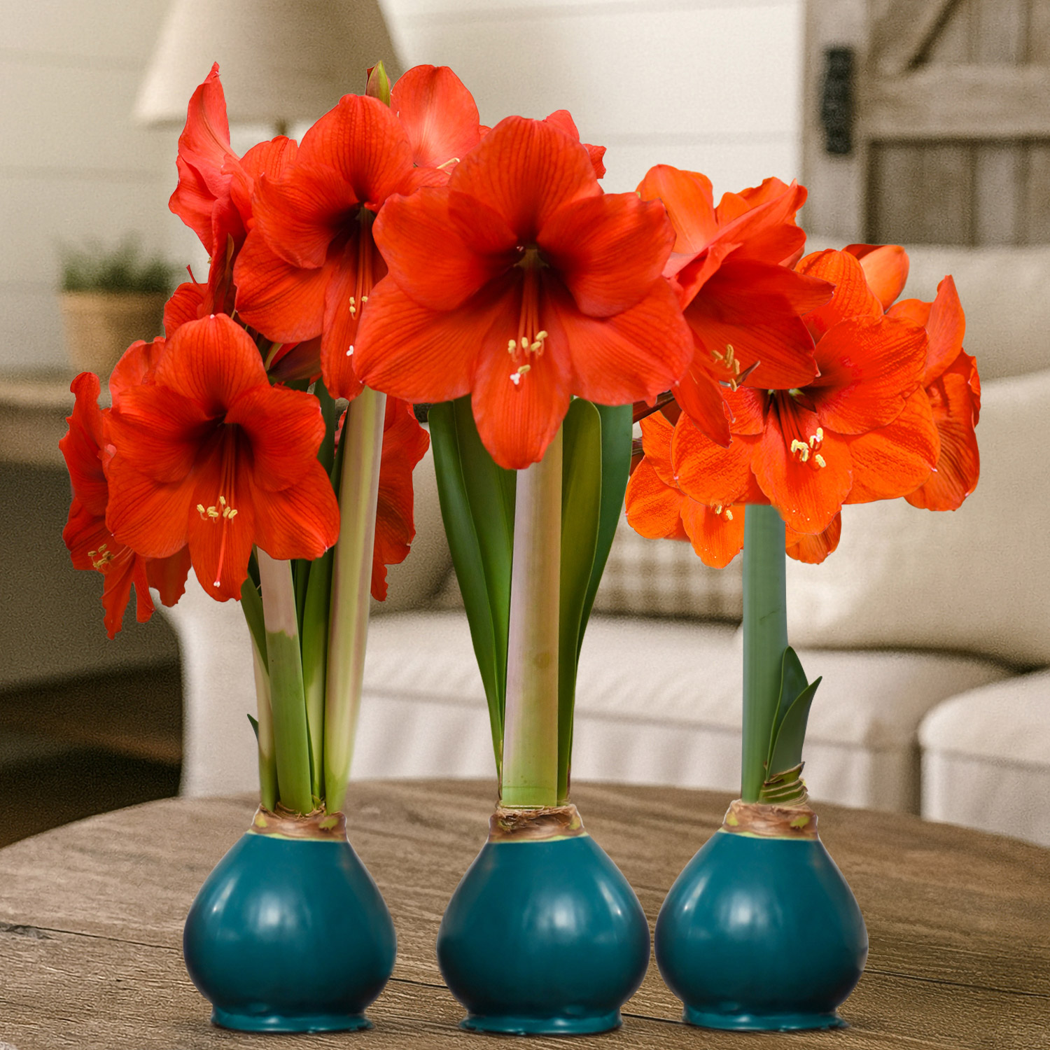 Enlarge Product Preview 2 Successfully Enriched by automation Job.