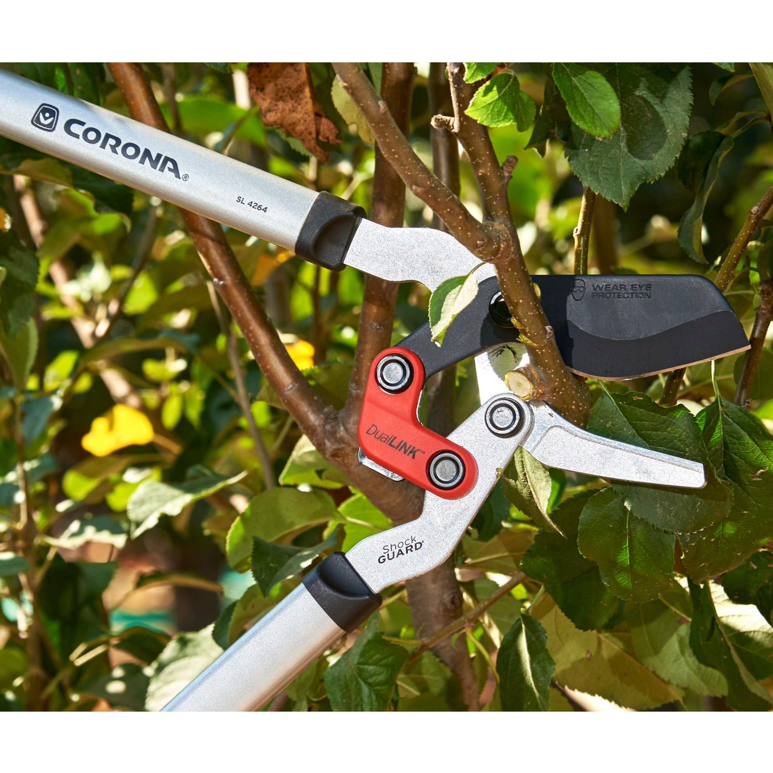 Enlarge Product Preview 6