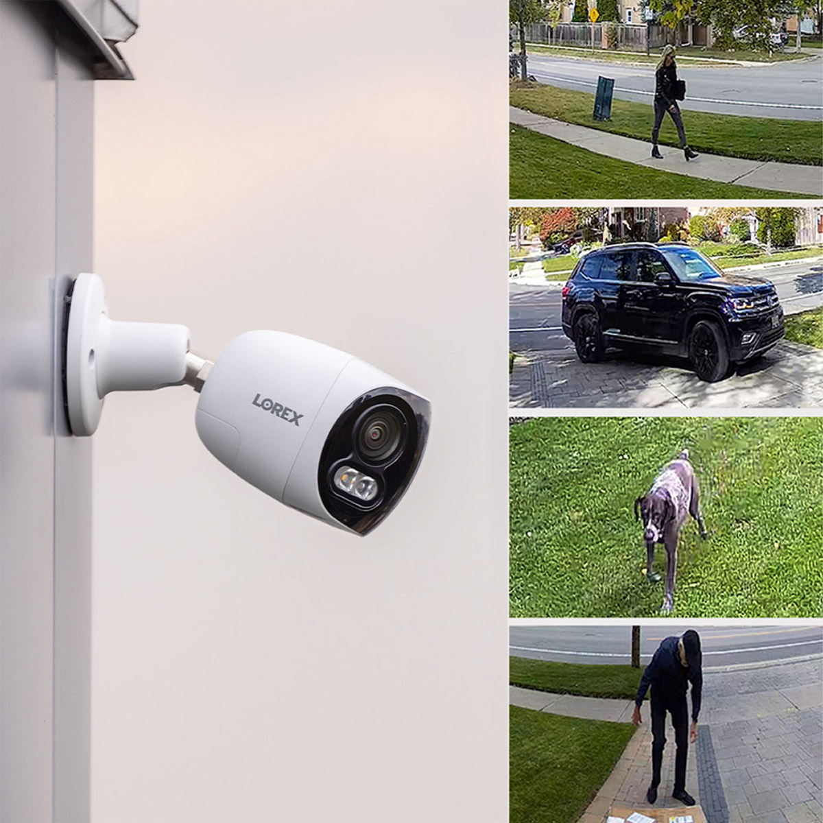 Enlarge Product Preview 3