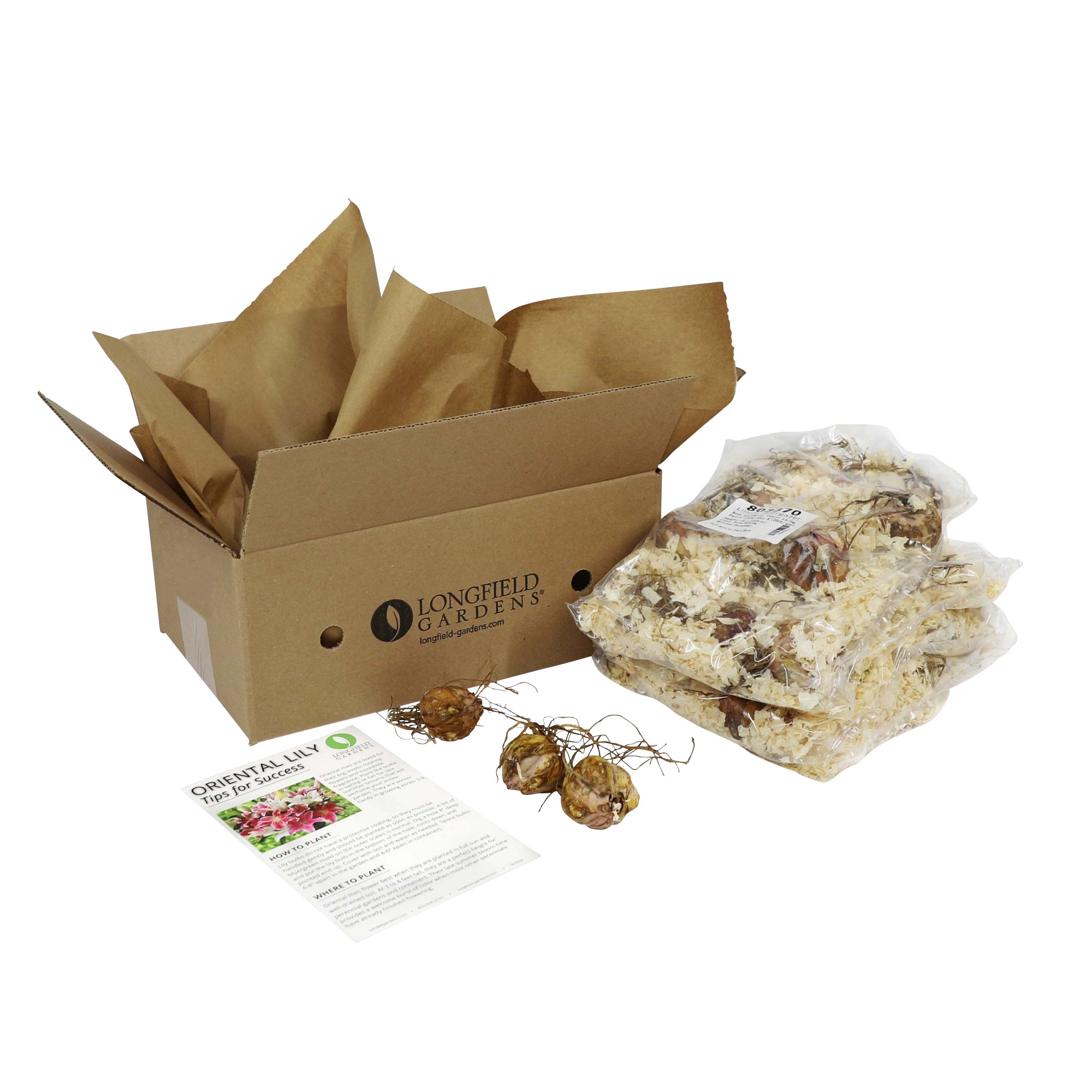 Enlarge Product Preview 13