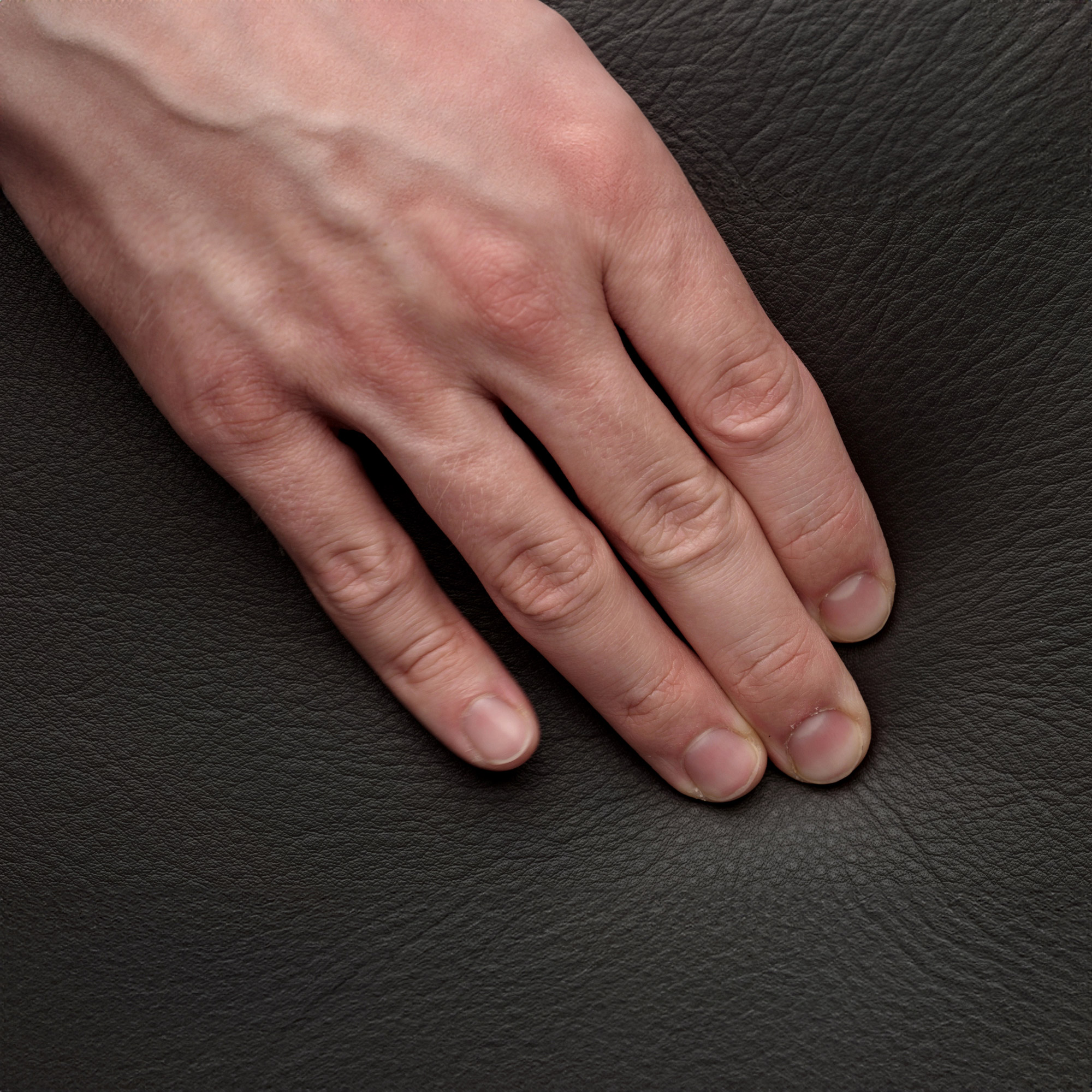 Enlarge Product Preview 4 Successfully Enriched by automation Job.